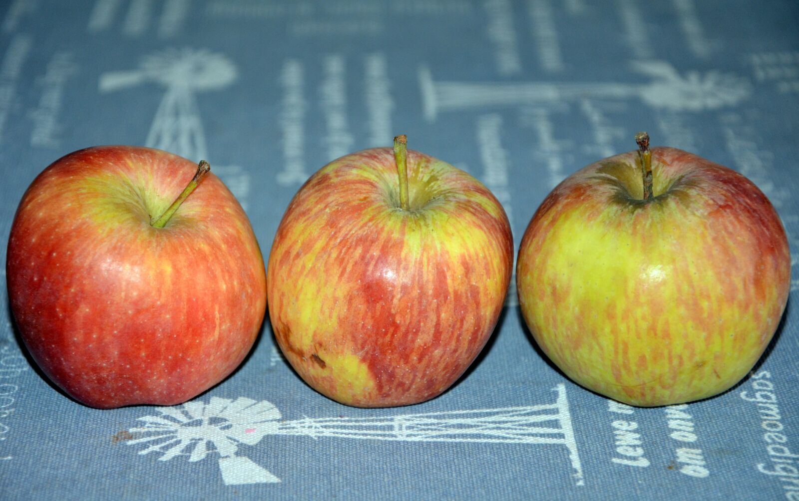 Nikon D5200 sample photo. Apples, fresh, healthy photography