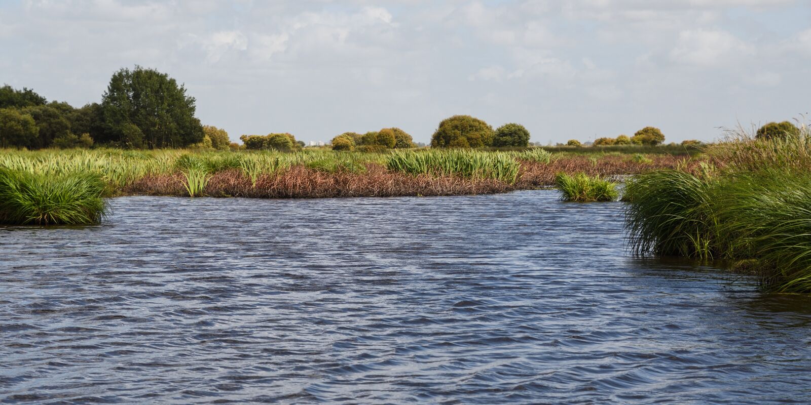 Nikon D500 sample photo. Marsh, bri re, loire photography
