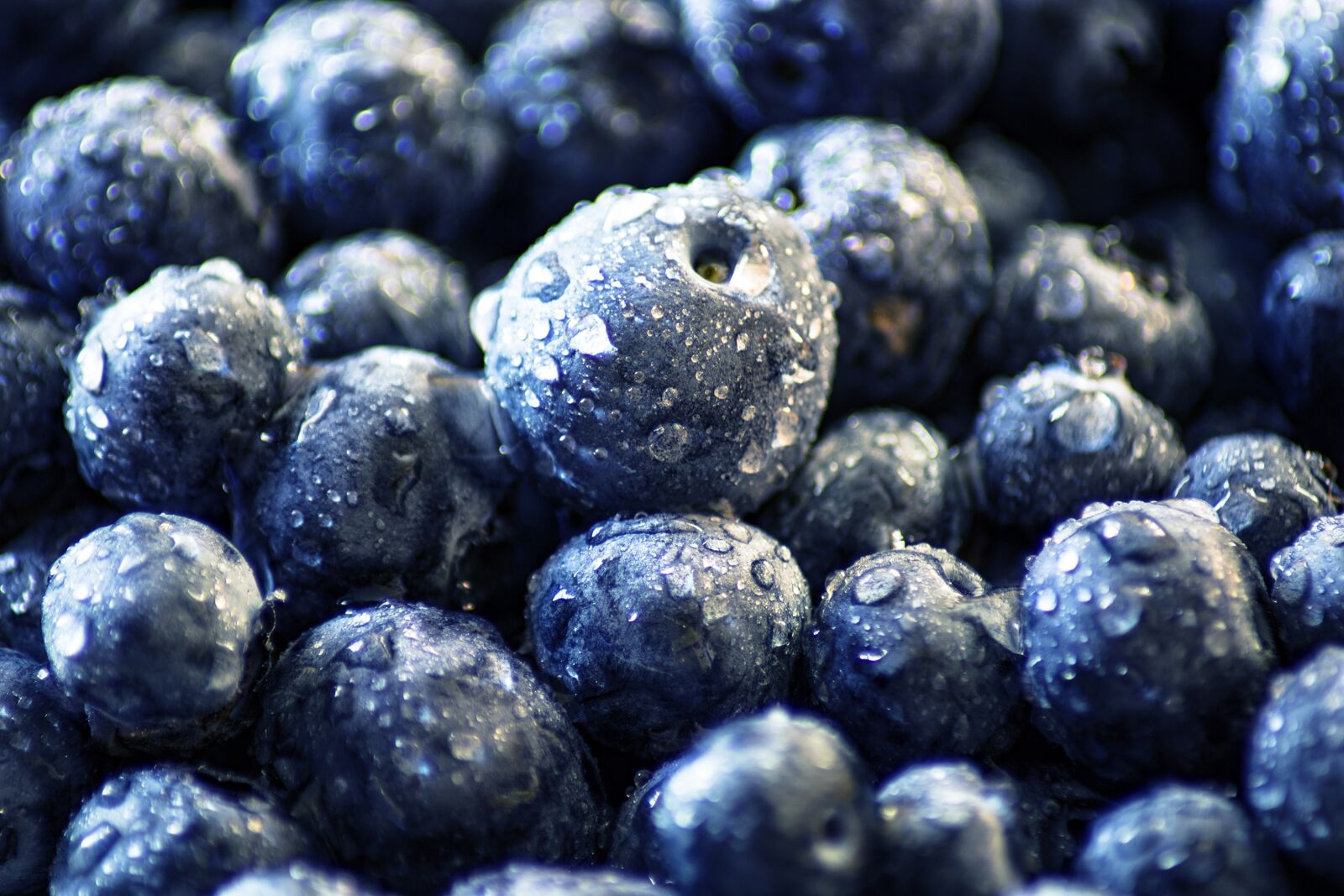 Canon EOS 750D (EOS Rebel T6i / EOS Kiss X8i) sample photo. Blueberry, black berry, moll photography