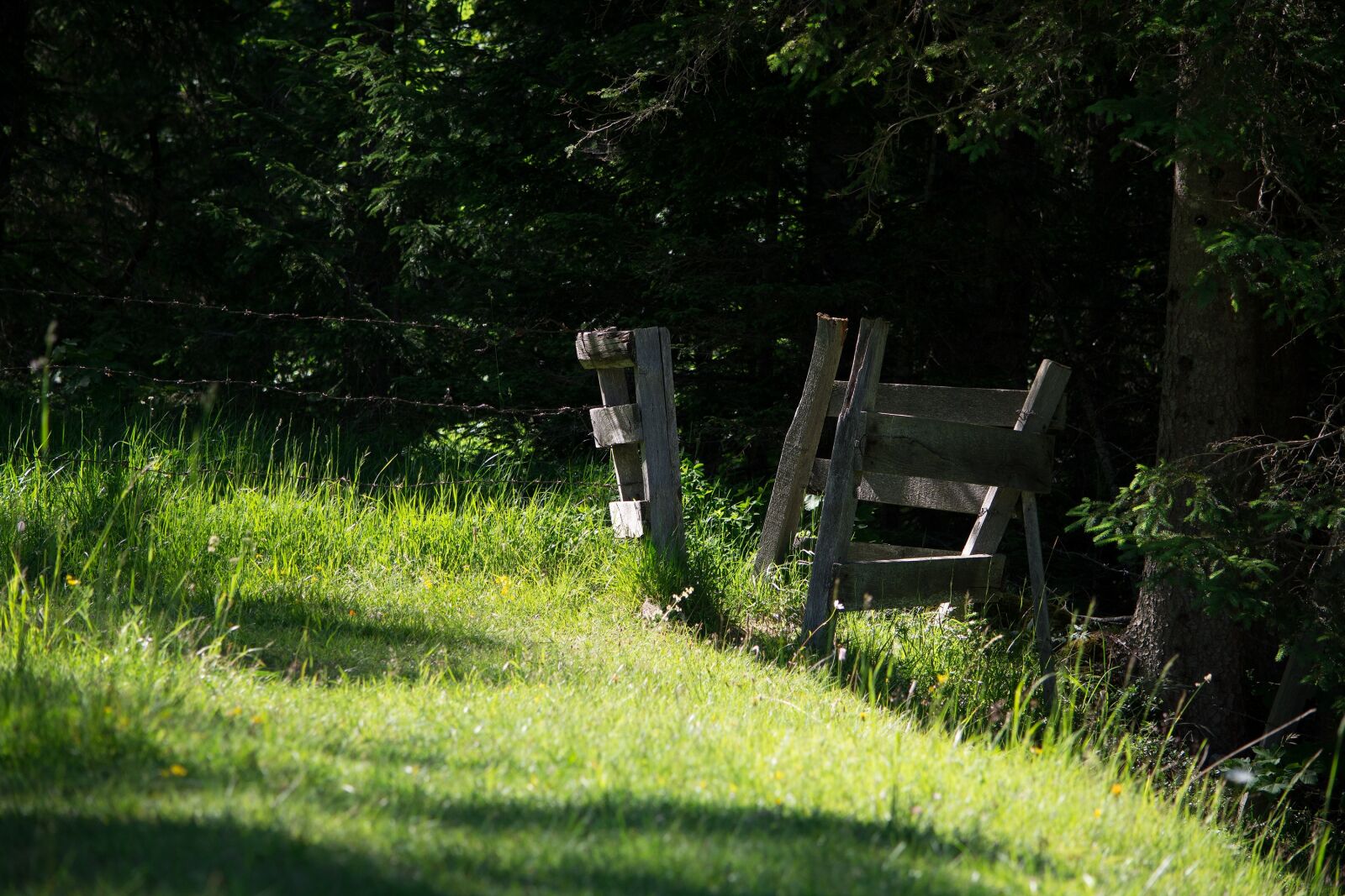 Nikon D7100 sample photo. Fence, passage, wood fence photography