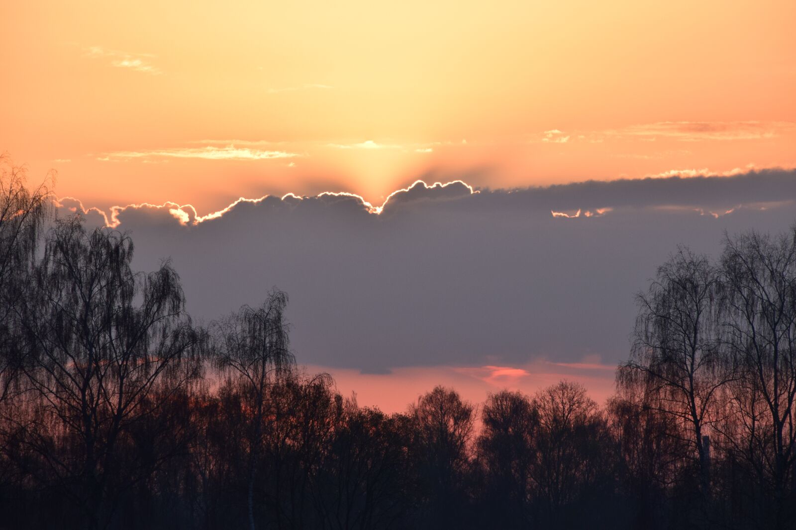 Nikon D3300 sample photo. Sunrise, light, sun photography