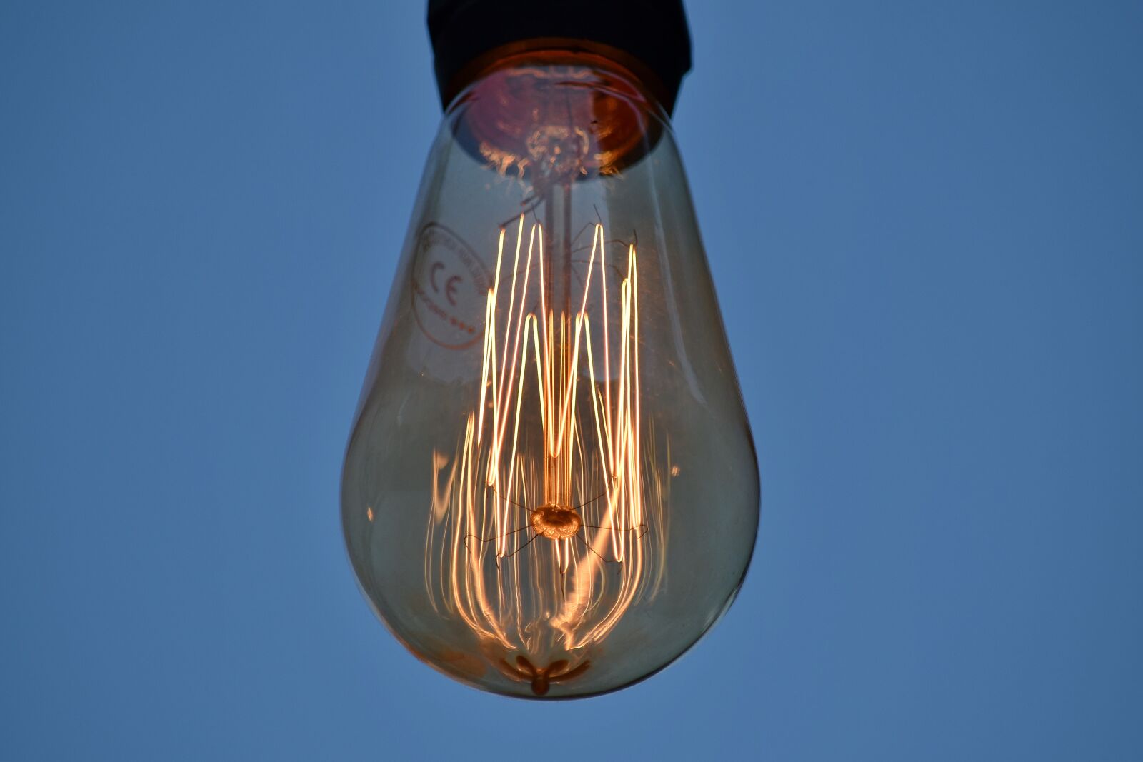 Nikon D5500 sample photo. Electricity, glass, light bulb photography