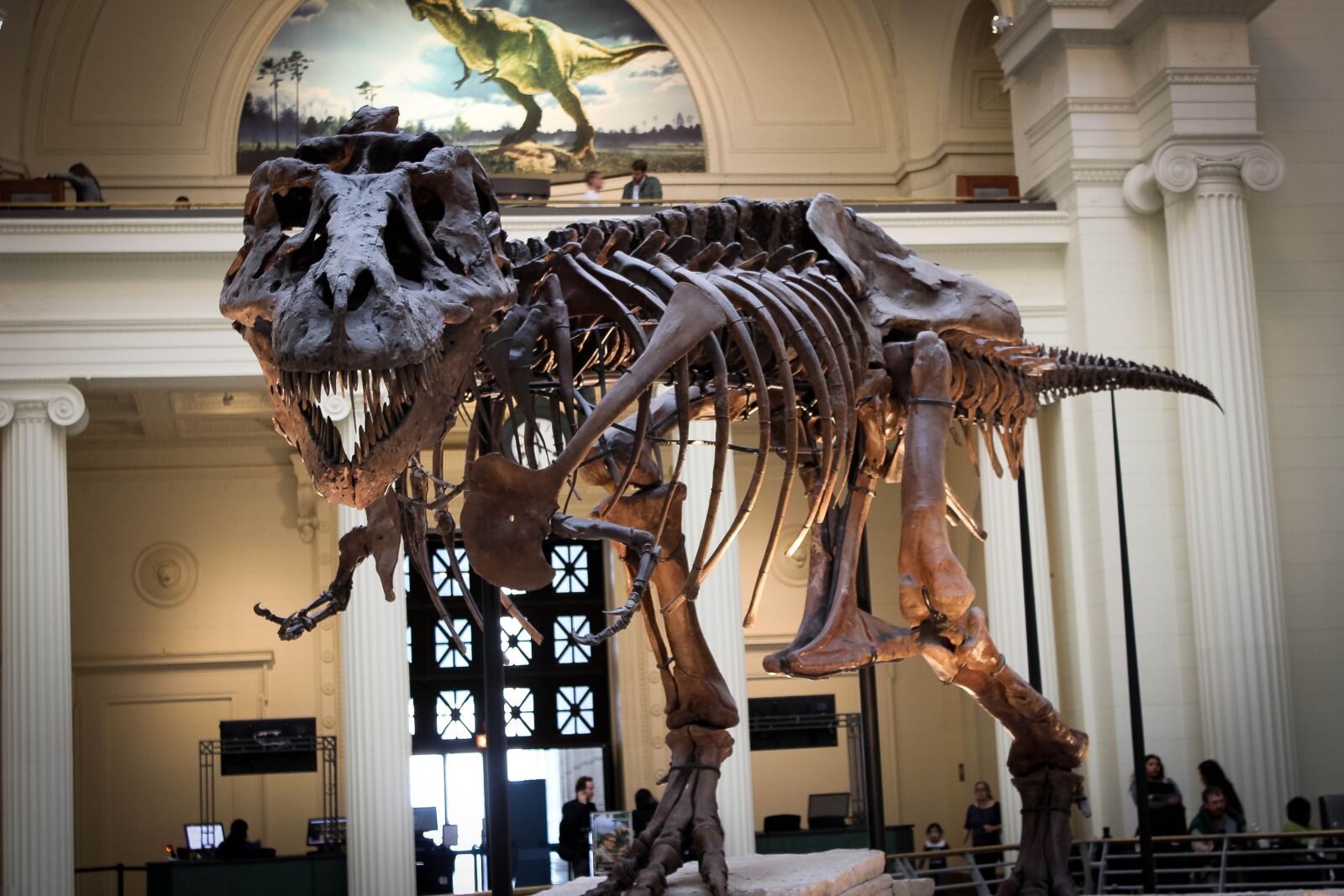 Canon EOS 600D (Rebel EOS T3i / EOS Kiss X5) sample photo. Dinosaur, tree, museum photography