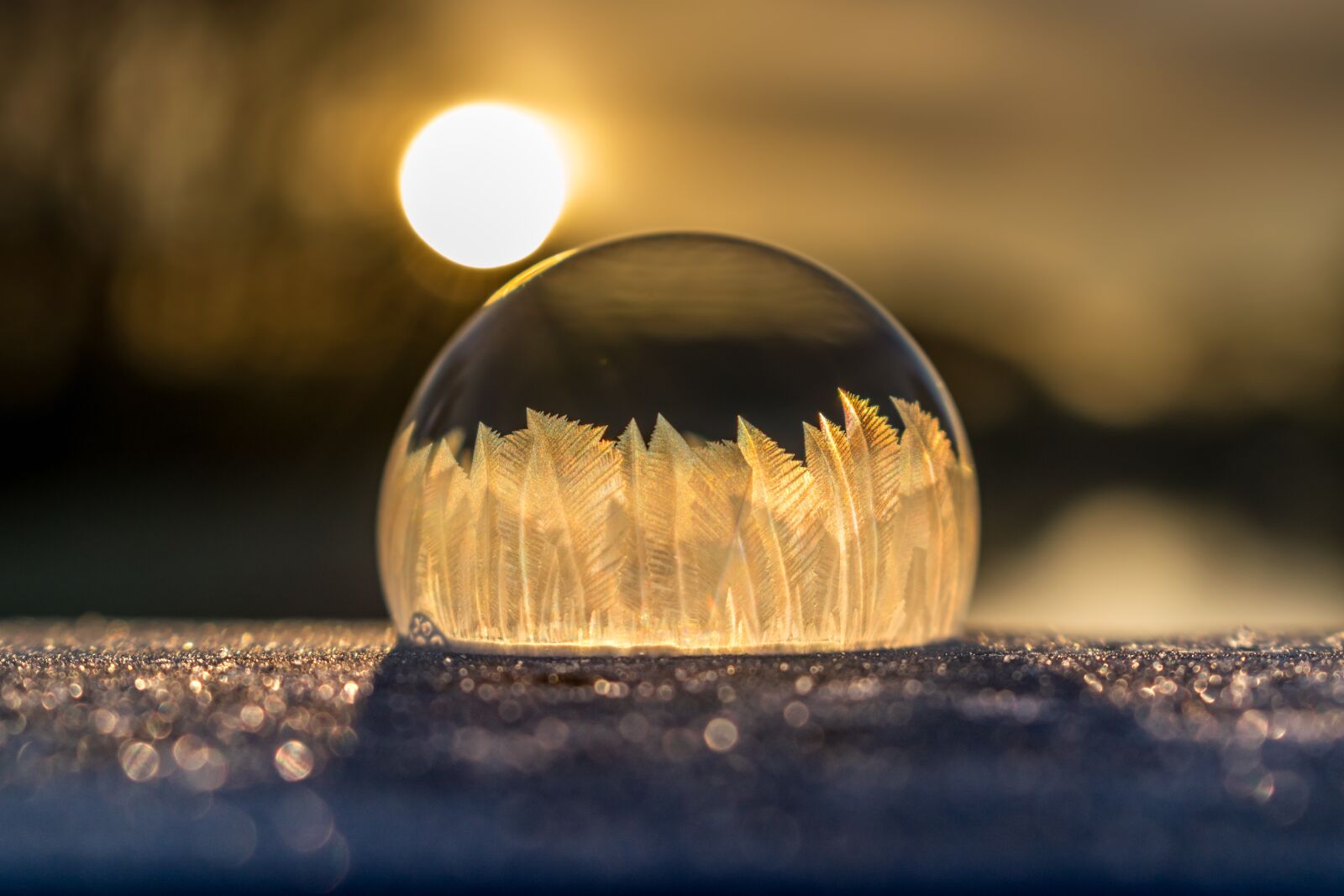 Nikon D5300 sample photo. Winter, soap bubble, frozen photography