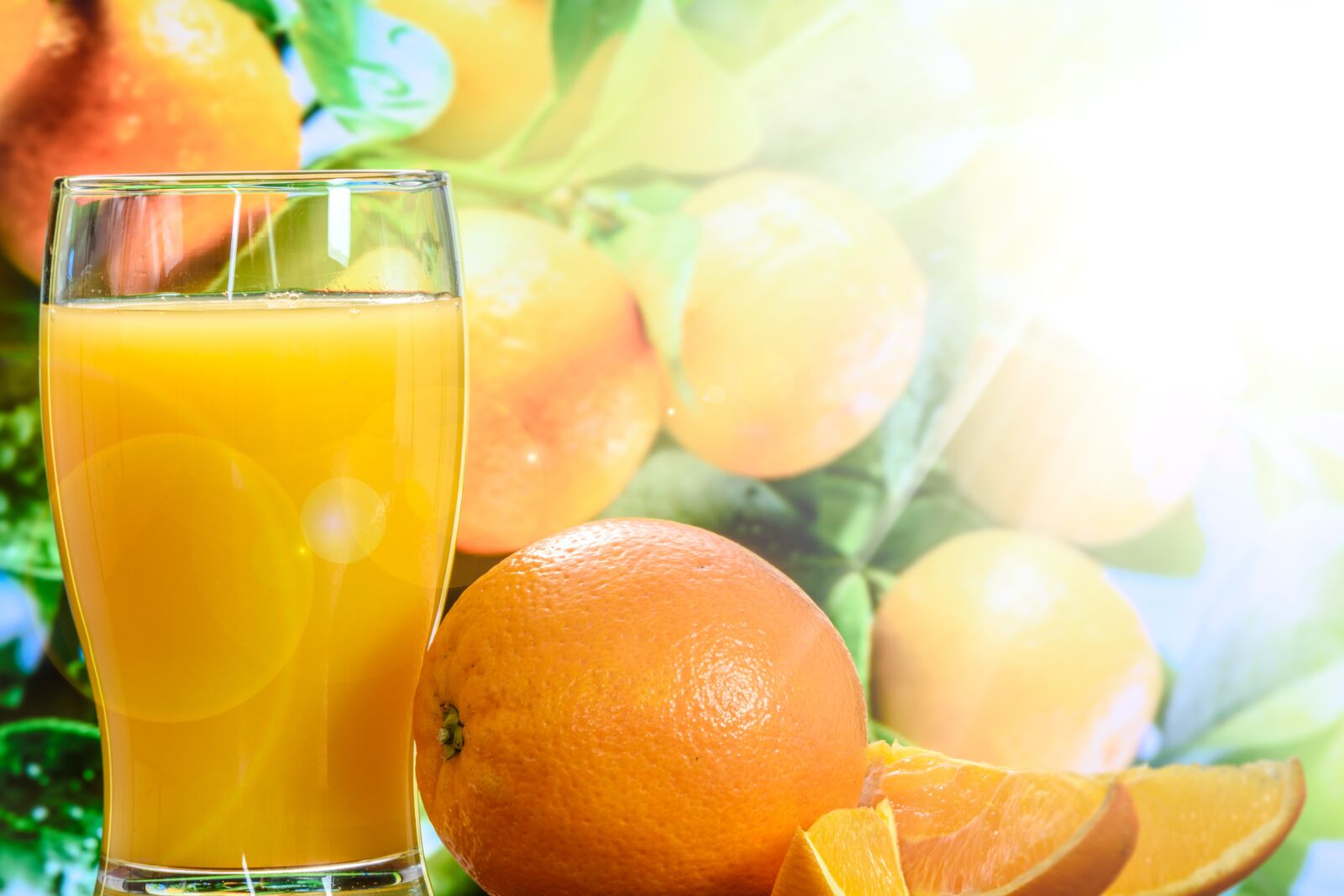 Nikon D750 sample photo. Orange juice, cup, tree photography