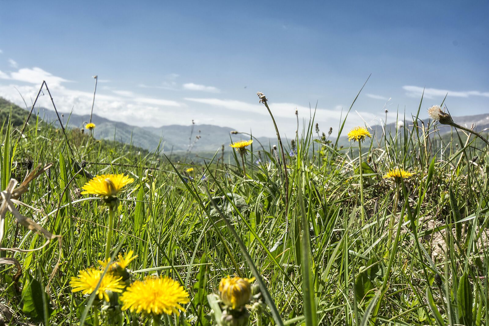 Nikon D5200 sample photo. The carpathians, nature, landscape photography