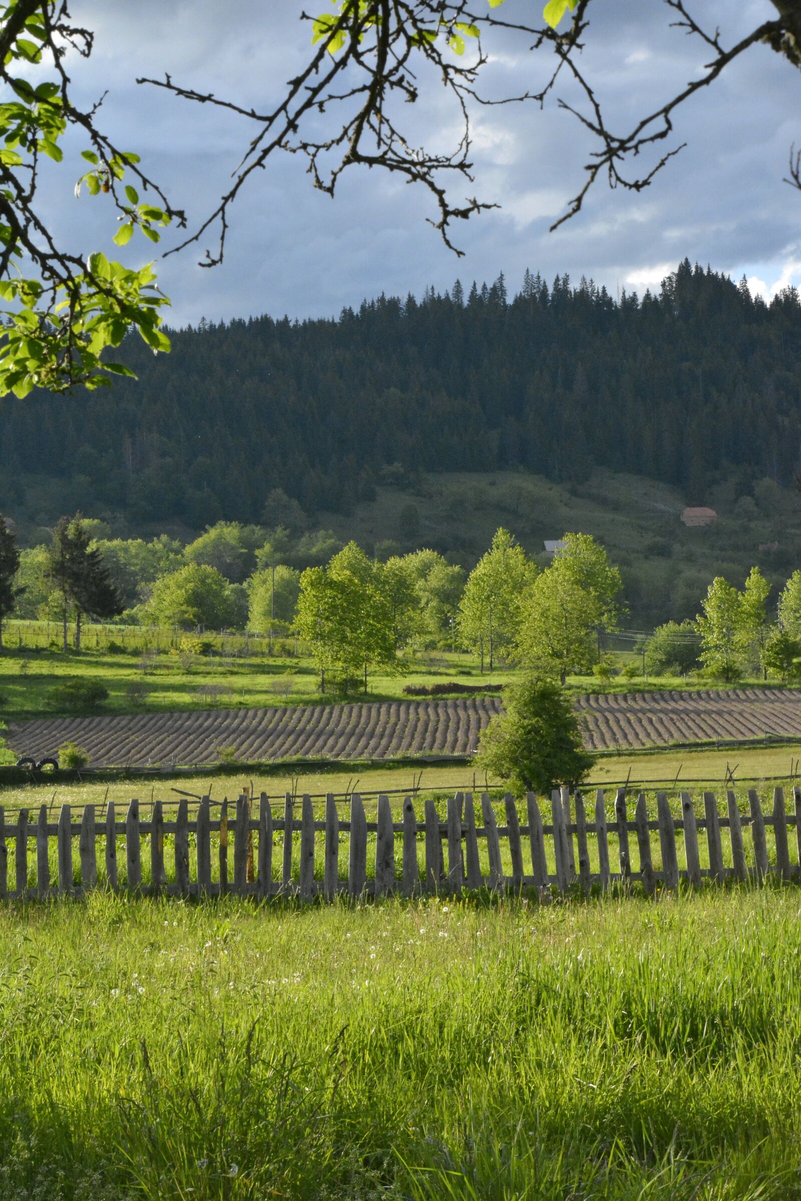 Nikon D5200 sample photo. Landscape, countryside, sunset photography