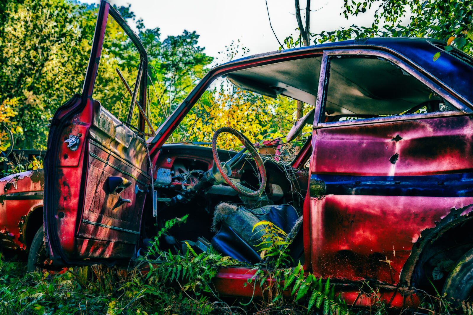Nikon Z6 sample photo. Pkw, scrap, wreck photography