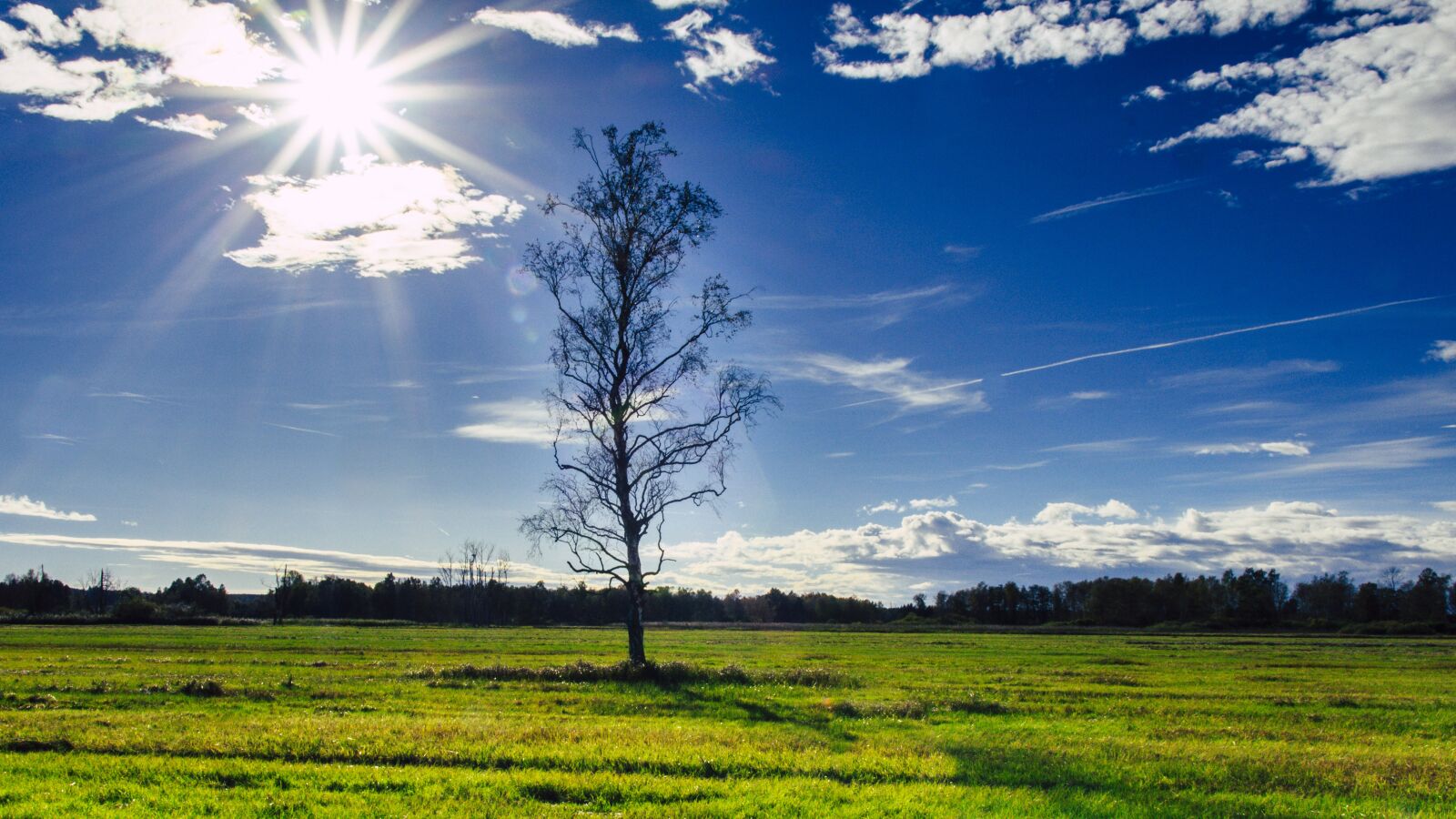 Canon EOS 650D (EOS Rebel T4i / EOS Kiss X6i) sample photo. Backlighting, hdr, spring lake photography