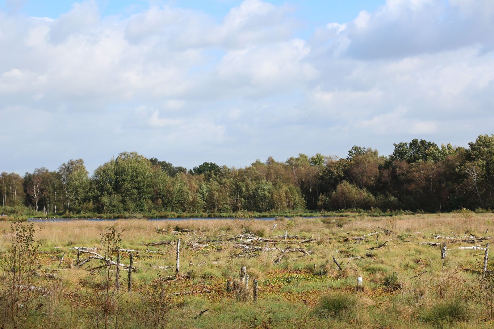 Canon EOS 600D (Rebel EOS T3i / EOS Kiss X5) + Canon EF 50mm F1.4 USM sample photo. Moor, peat, landscape photography