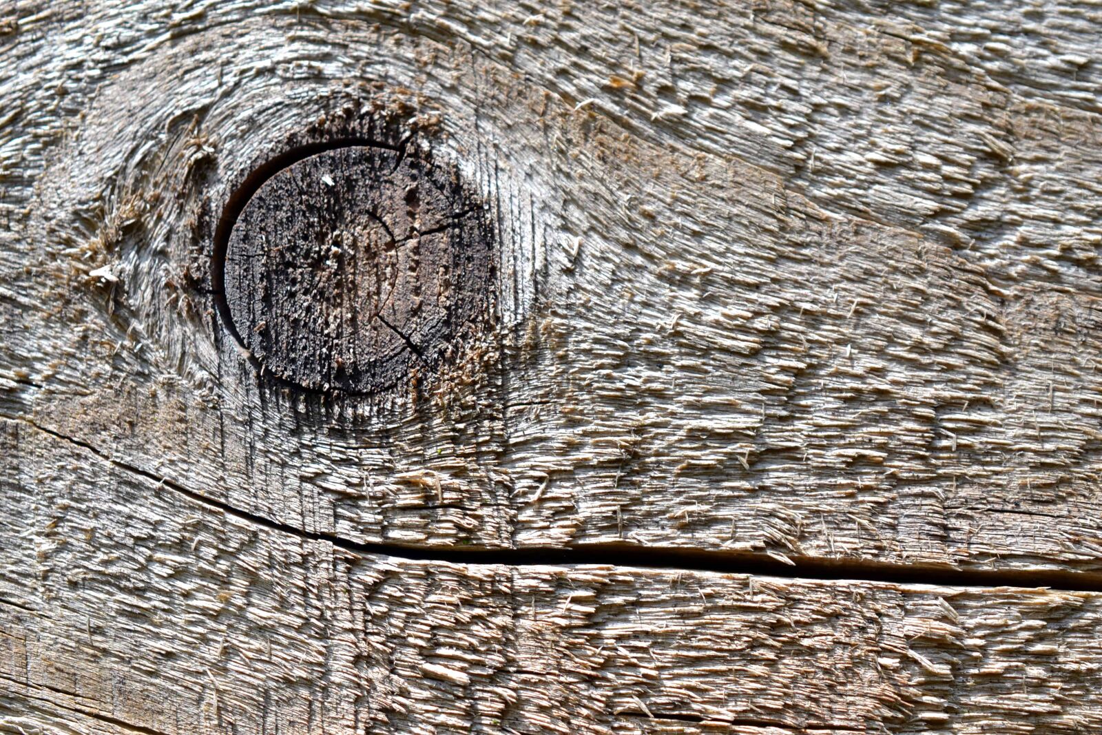 Nikon AF-S DX Micro Nikkor 40mm F2.8 sample photo. Wood knot, brown, texture photography