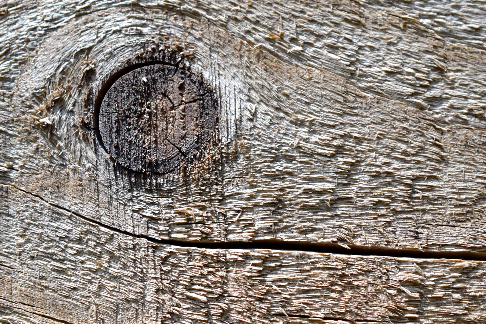 Nikon D3100 + Nikon AF-S DX Micro Nikkor 40mm F2.8 sample photo. Wood knot, brown, texture photography