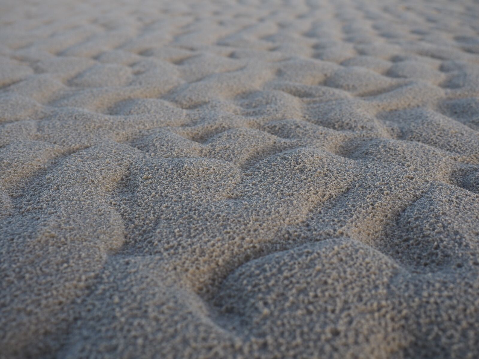 Olympus OM-D E-M1 Mark II + Olympus M.Zuiko Digital ED 12-40mm F2.8 Pro sample photo. Sand, beach, coast photography