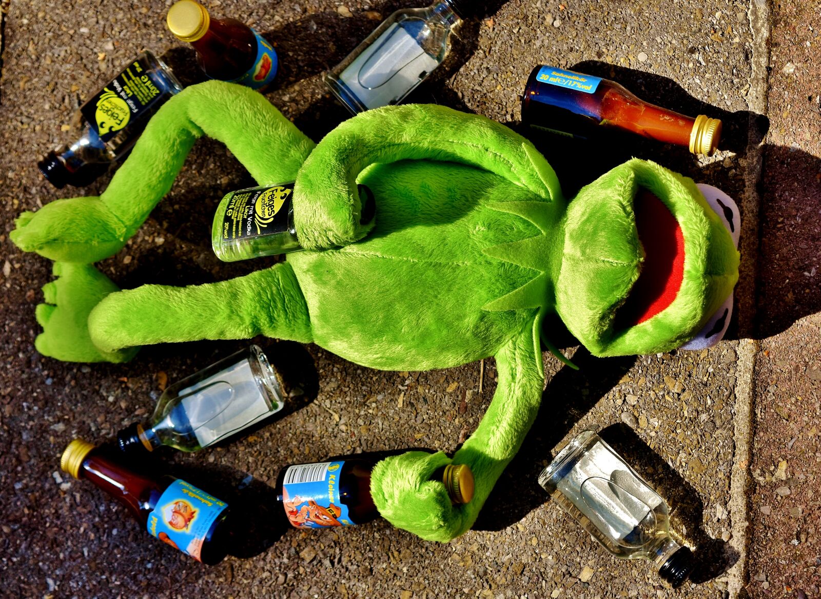 Nikon D7200 sample photo. Kermit, frog, drink photography
