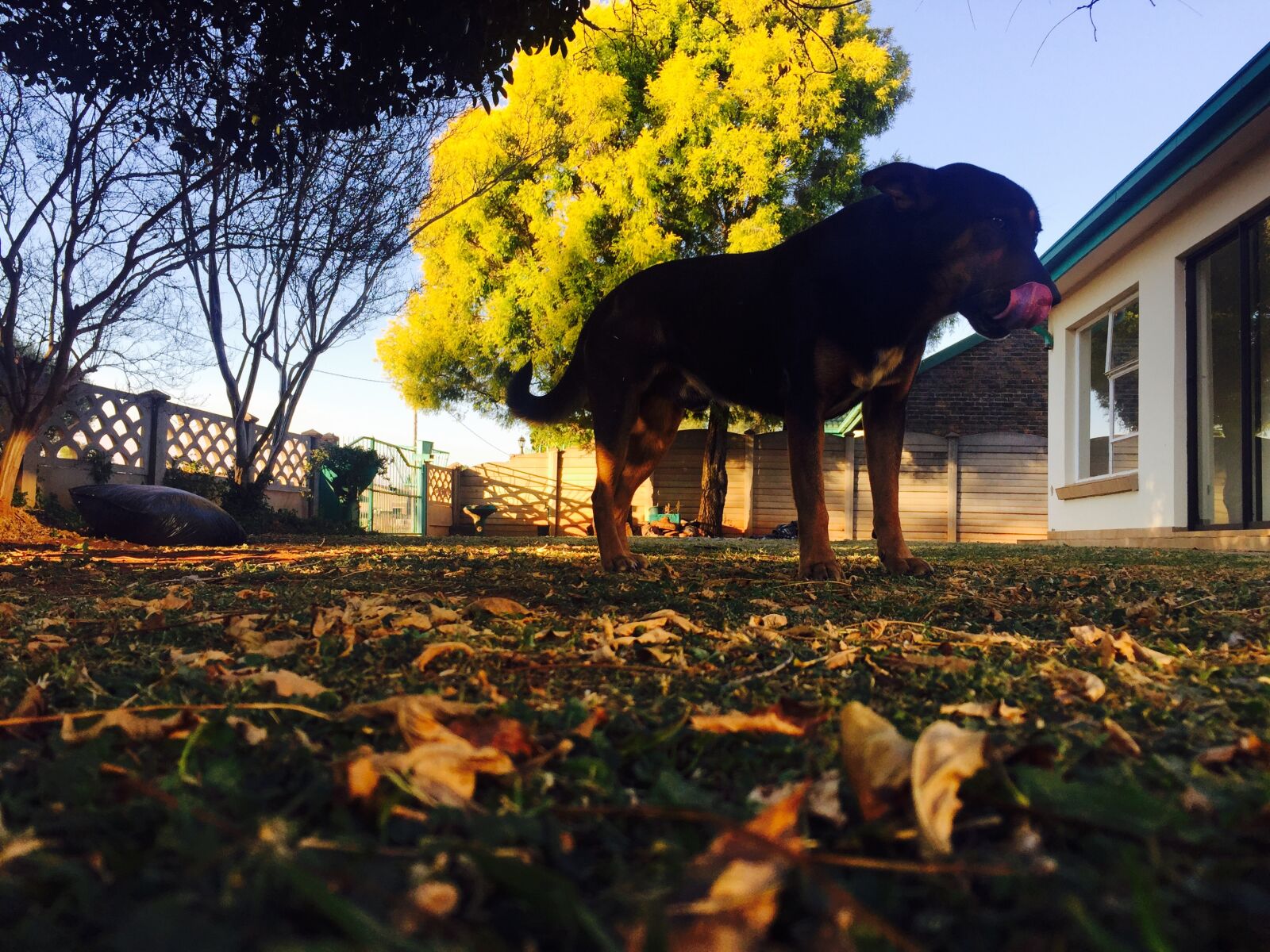 iPhone 6 back camera 4.15mm f/2.2 sample photo