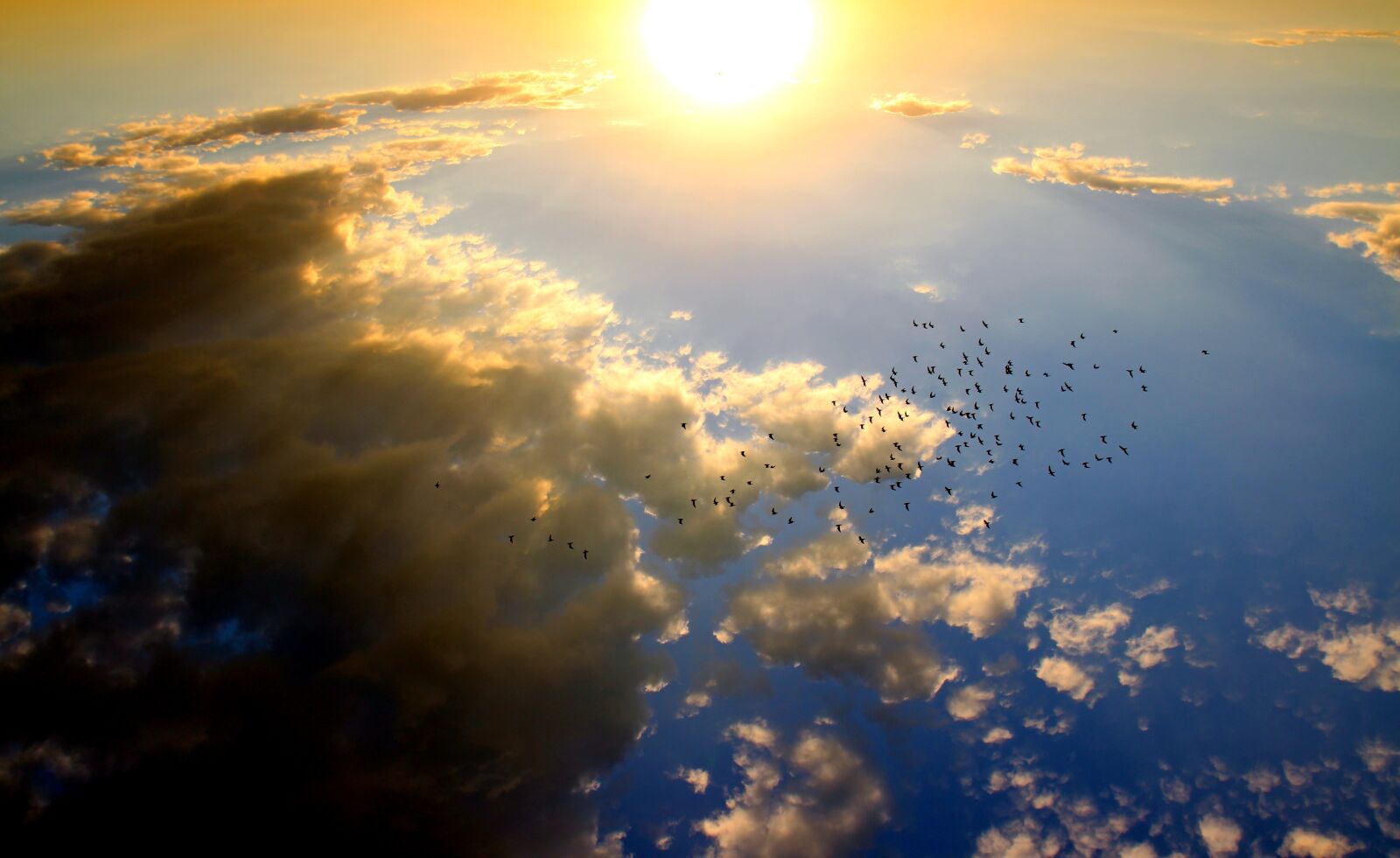 Canon EOS 700D (EOS Rebel T5i / EOS Kiss X7i) sample photo. Birds, flying, in, the photography