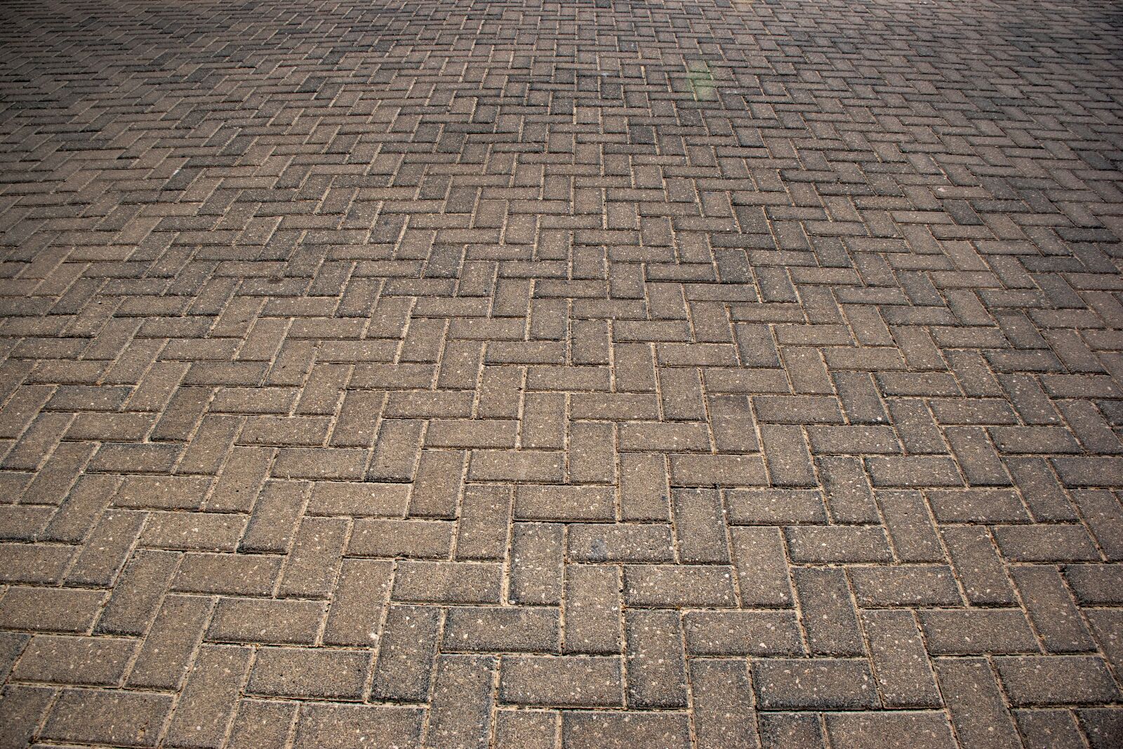 Nikon D5600 sample photo. Bricks, floor, structure photography
