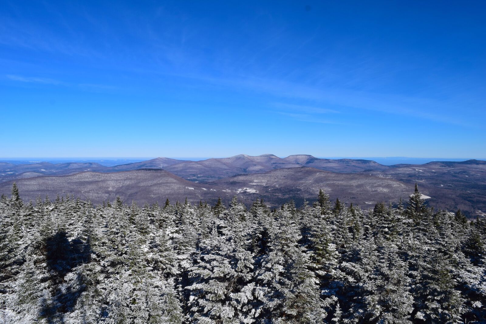 Nikon D3300 sample photo. Trees, mountains, landscape photography