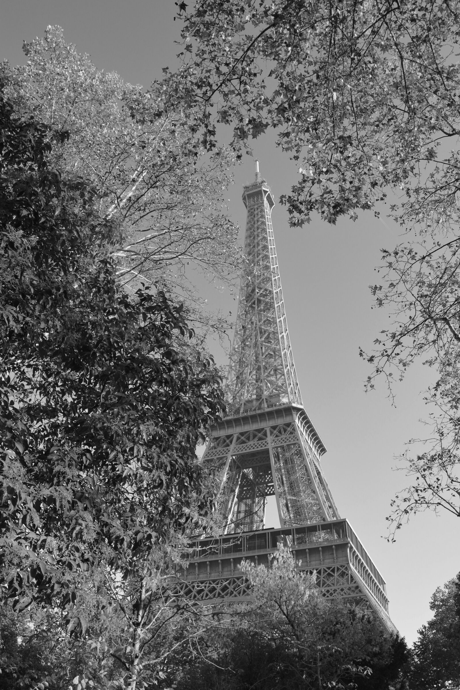 Nikon D5200 sample photo. Eiffel tower, eiffel tower photography