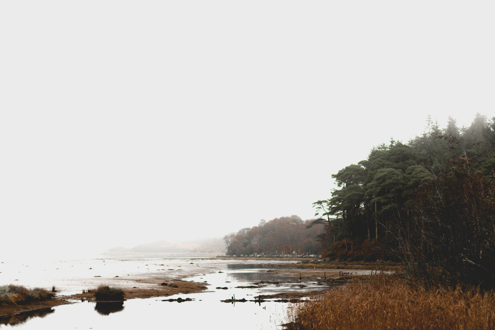Canon EOS 70D + Canon EF 50mm F1.4 USM sample photo. Wood, dawn, sunset, water photography