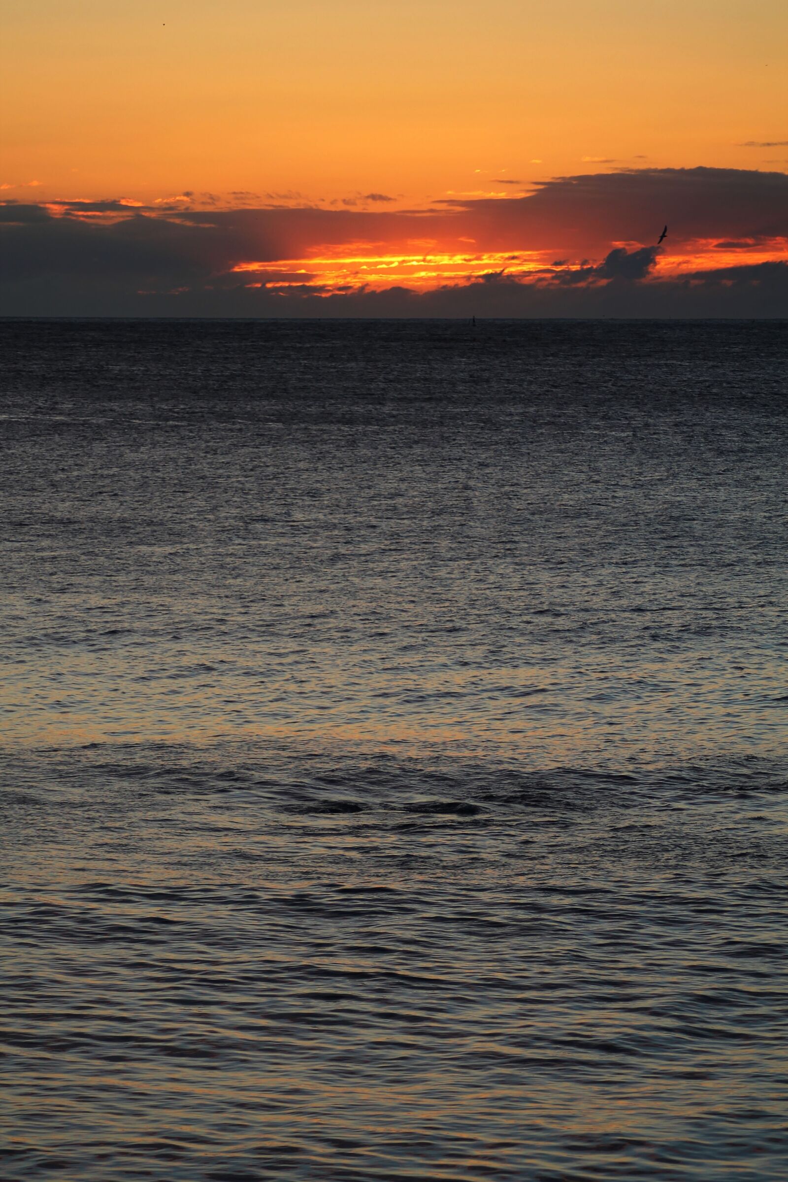 Canon EOS 1100D (EOS Rebel T3 / EOS Kiss X50) sample photo. Sea, sun, beach photography
