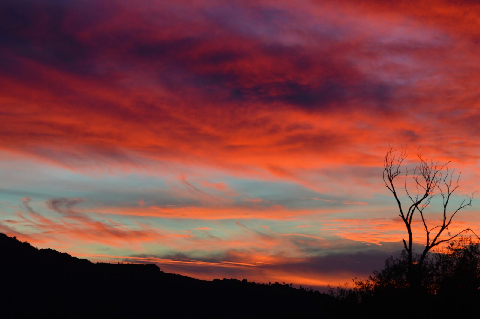 Nikon D3200 sample photo. Sunset, orange, purple photography