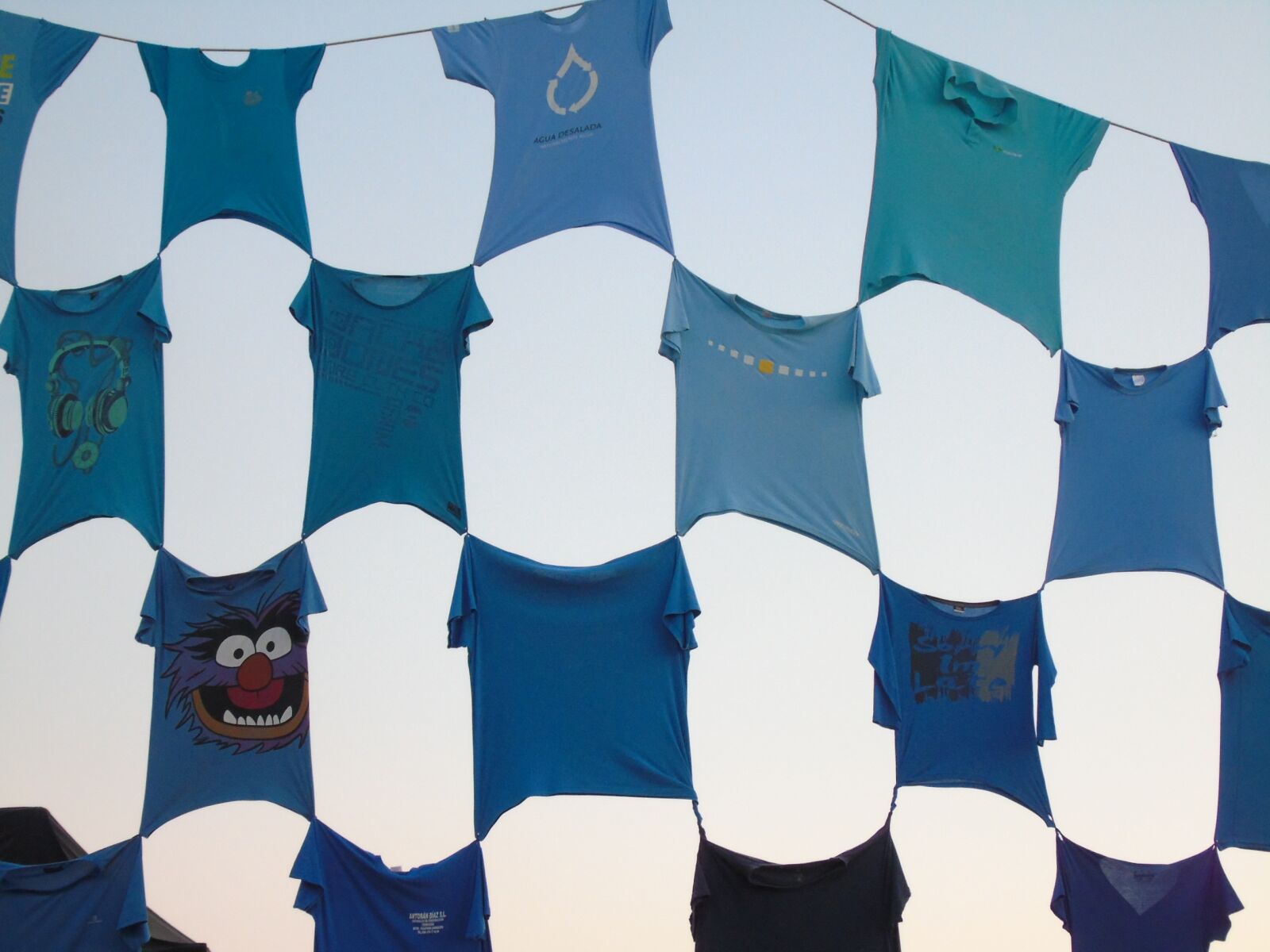 Sony Cyber-shot DSC-H400 sample photo. T-shirt, coconut, blue photography
