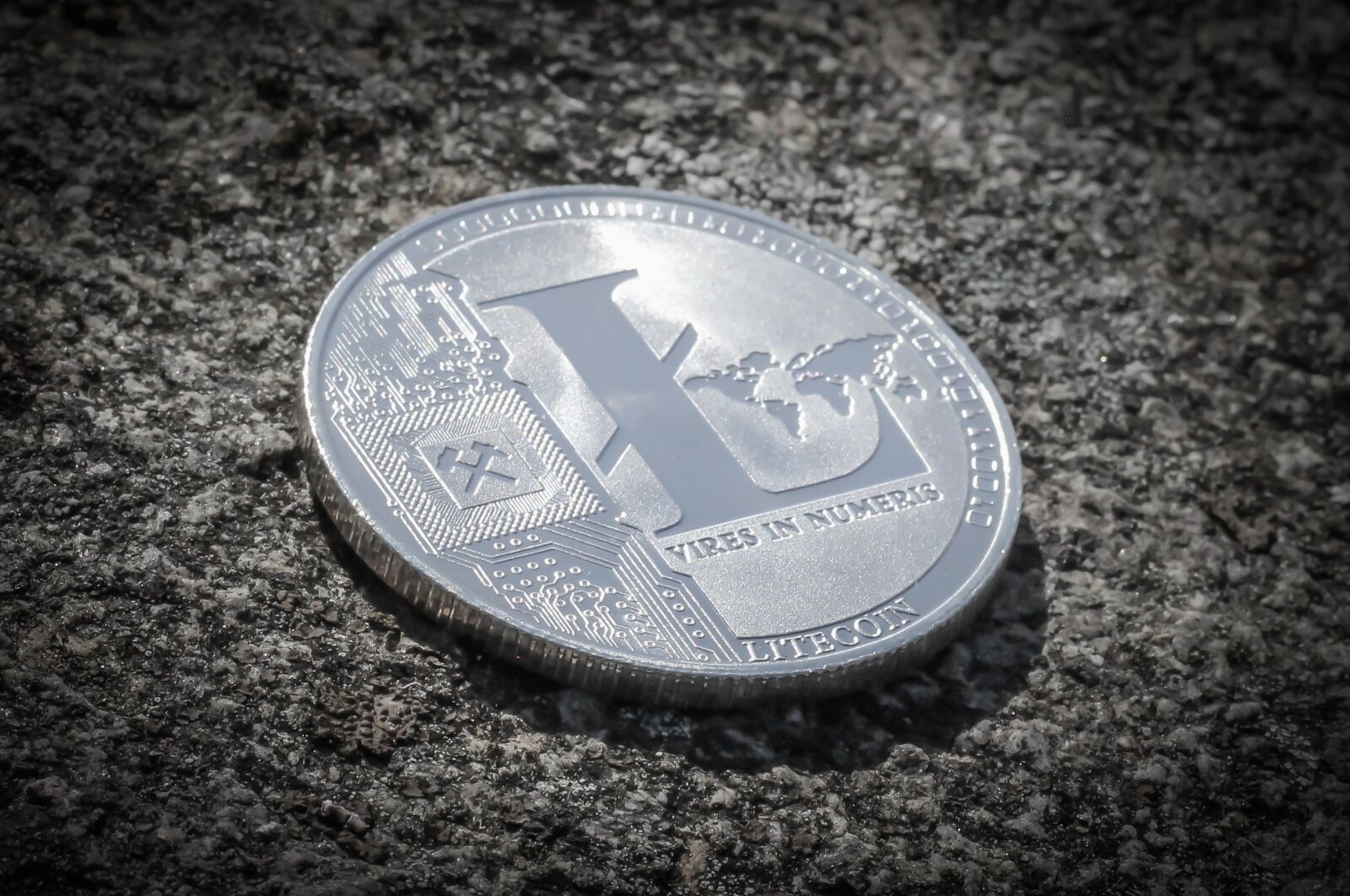 Canon EOS 700D (EOS Rebel T5i / EOS Kiss X7i) + Canon EF 50mm F1.8 STM sample photo. Litecoin, currency, cryptocurrency photography