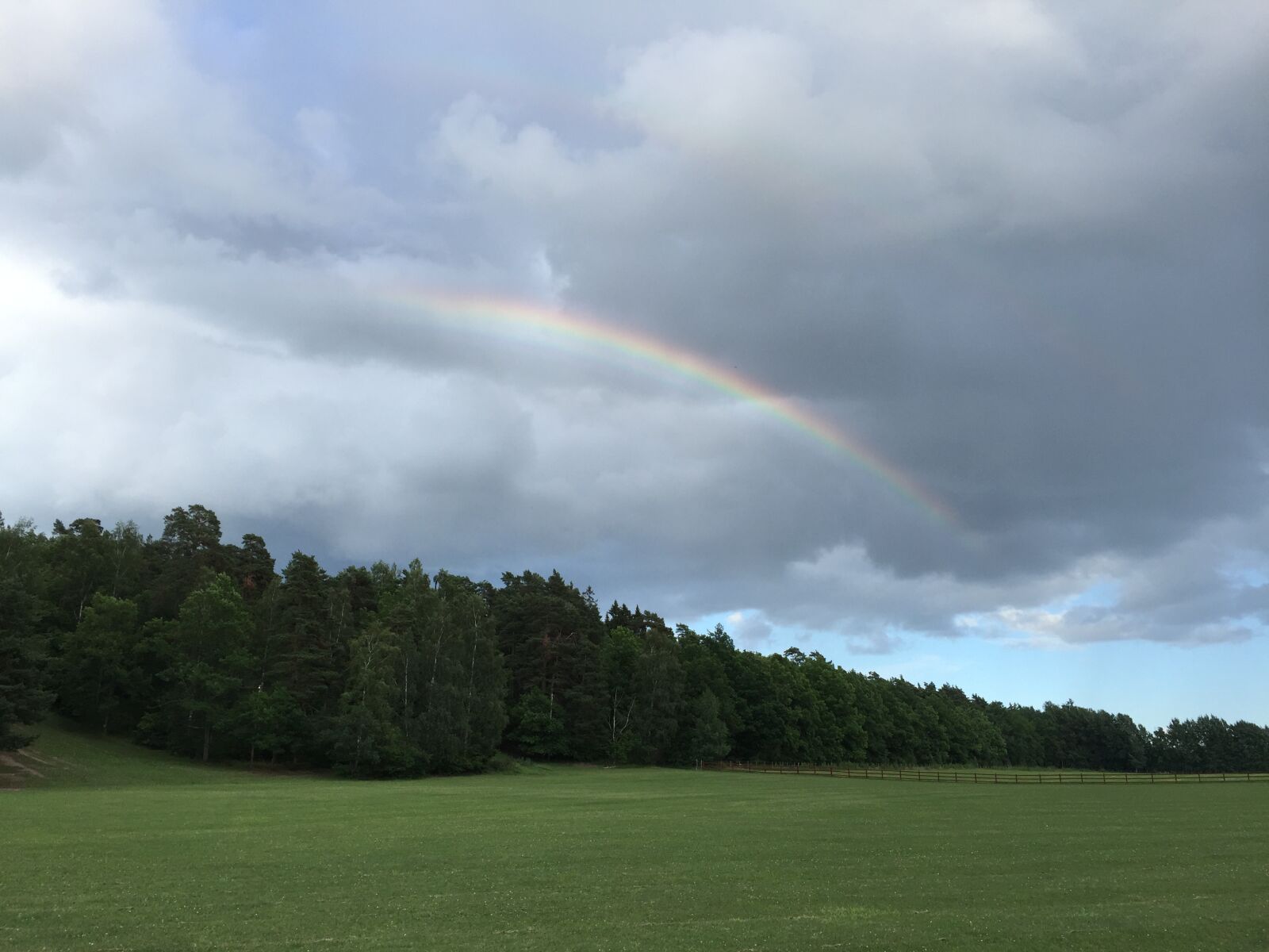 Apple iPhone 6 sample photo. Rainbow, forest, landscapes photography