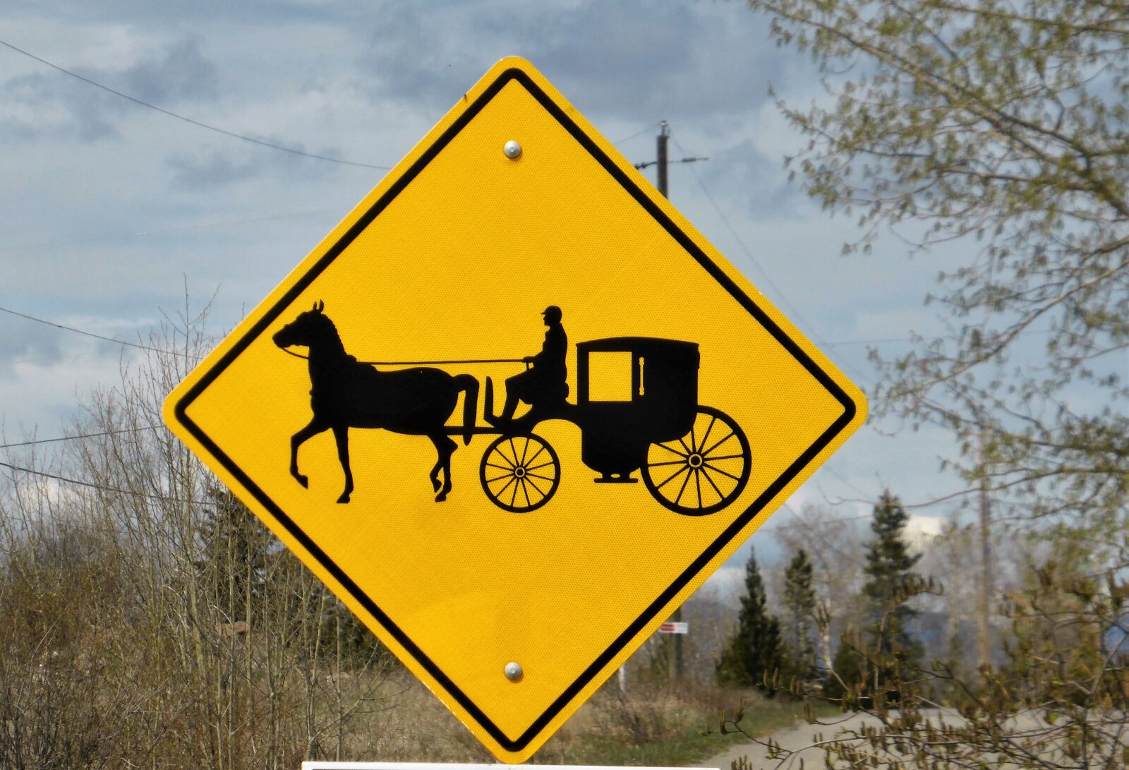 Panasonic Lumix DMC-ZS30 (Lumix DMC-TZ40) sample photo. Road sign, coach, horse photography