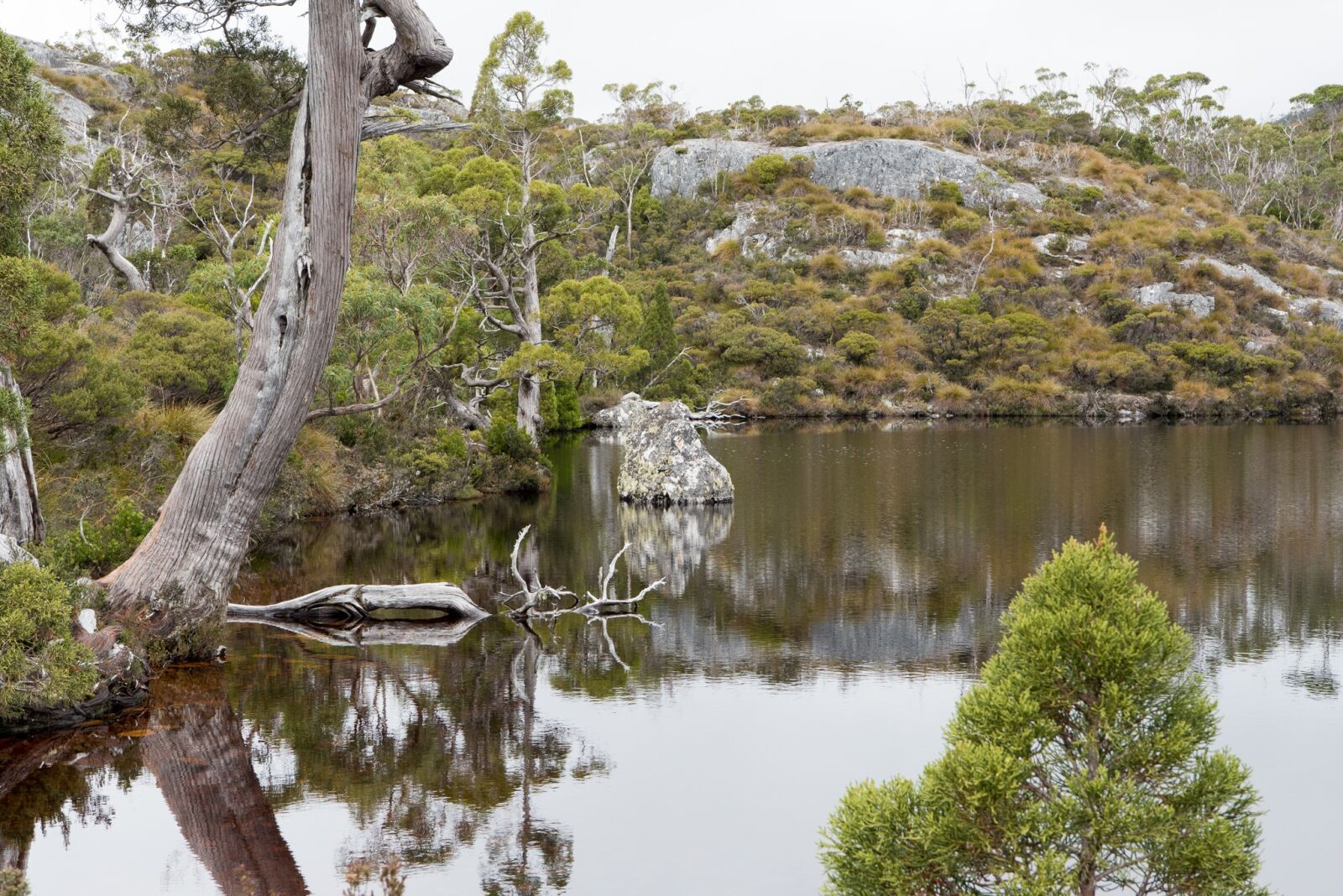 Nikon D750 sample photo. Wombat pool, cradle mountain photography