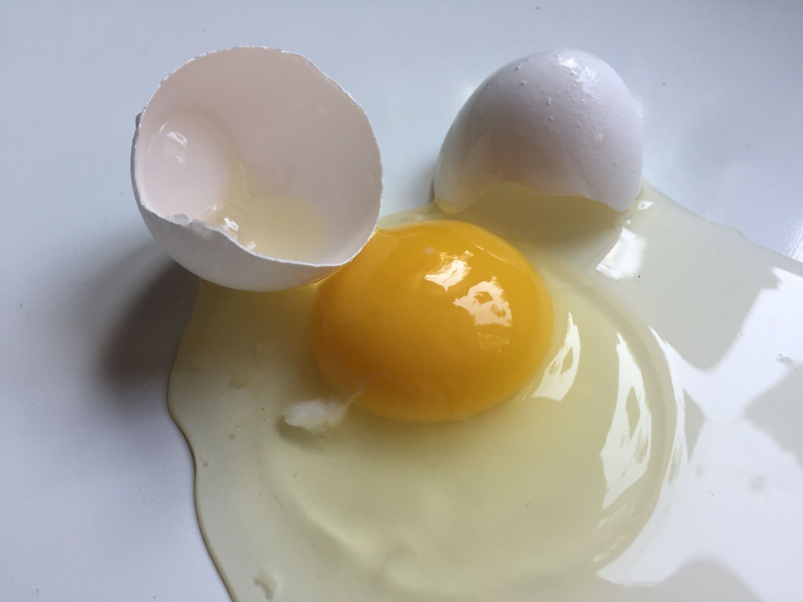 iPhone 6 Plus back camera 4.15mm f/2.2 sample photo. Egg, broken egg, white photography