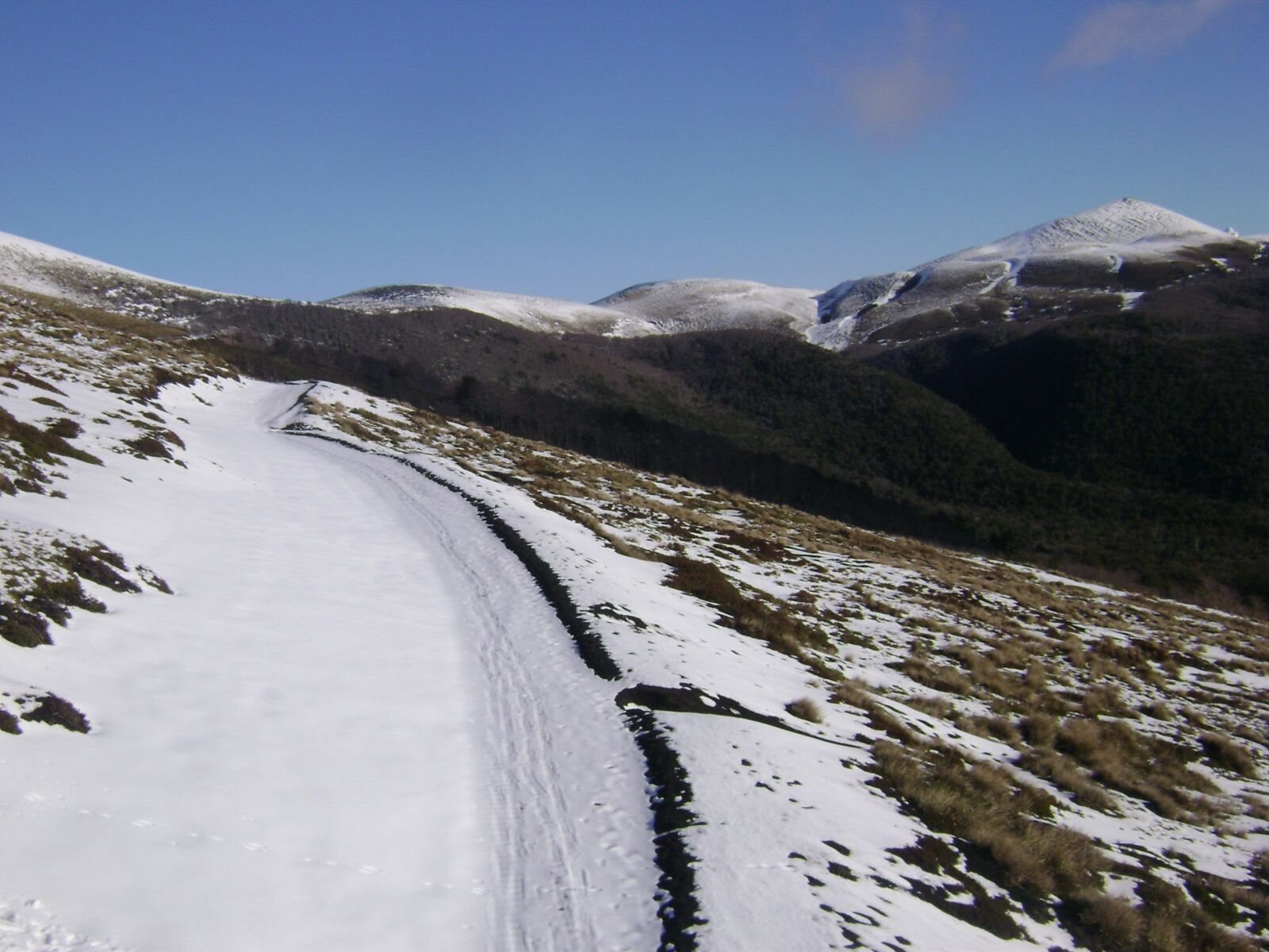 Sony DSC-S650 sample photo. Snow, path, landscape photography