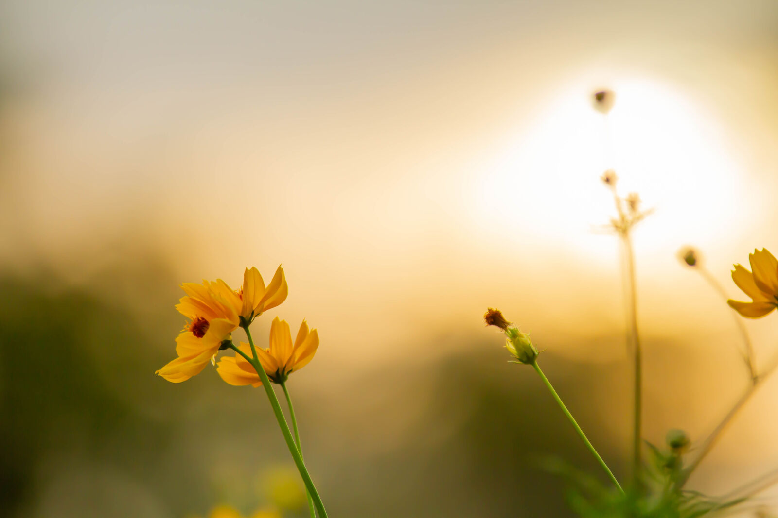 Canon EOS 7D sample photo