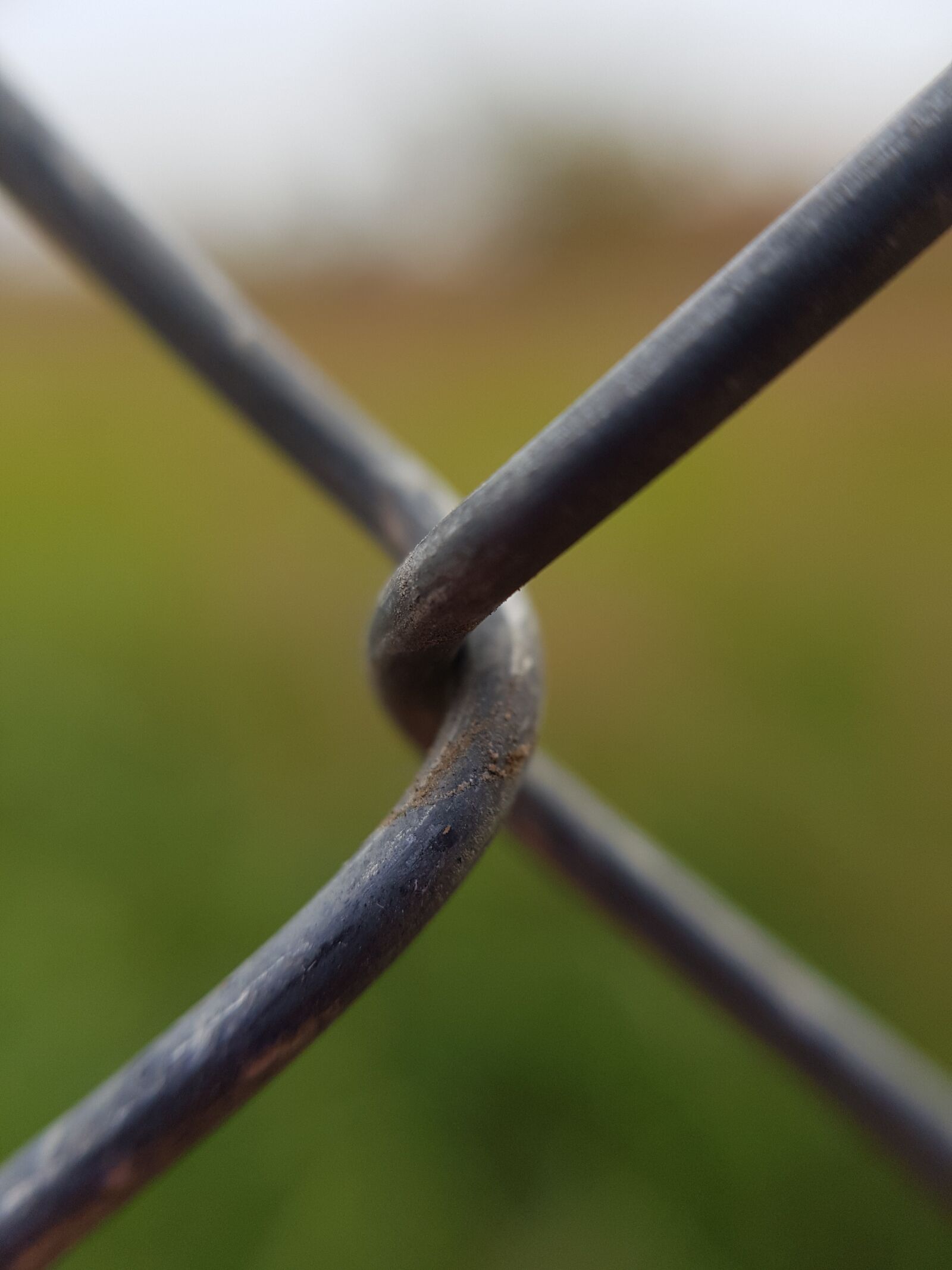 Samsung Galaxy S8 sample photo. Nature, green, landscape photography