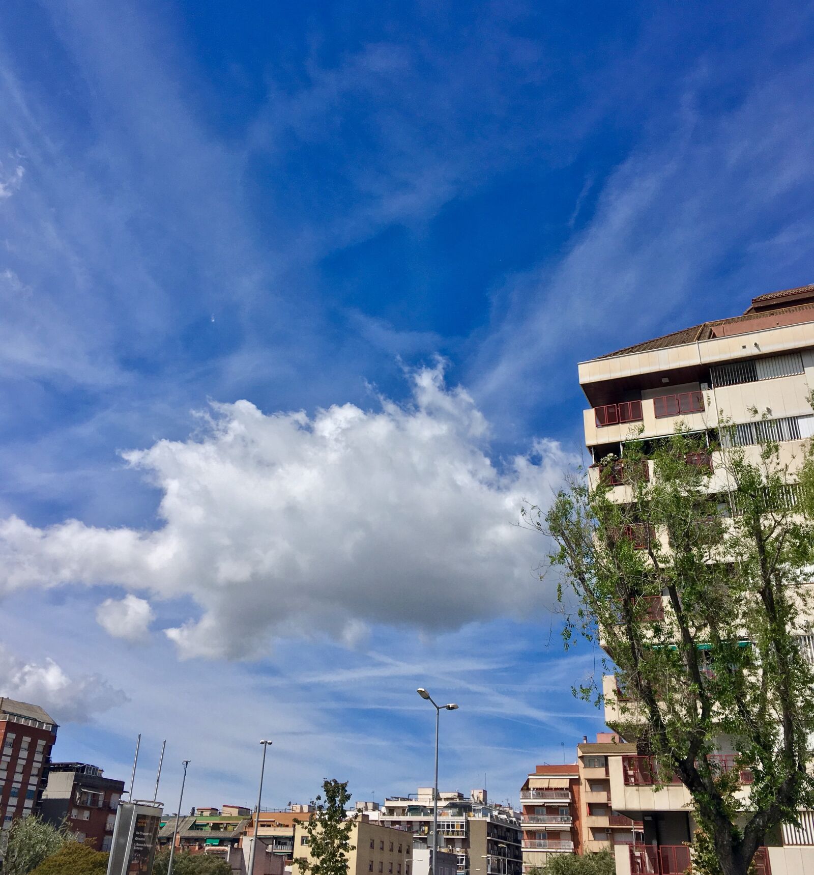 iPhone SE back camera 4.15mm f/2.2 sample photo. Sky, blue, people photography