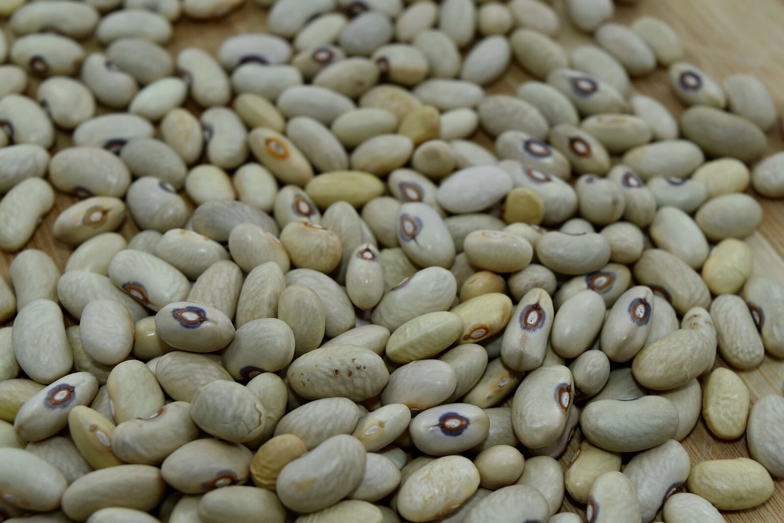 Nikon D5500 sample photo. Bean, many, health, vegetable photography