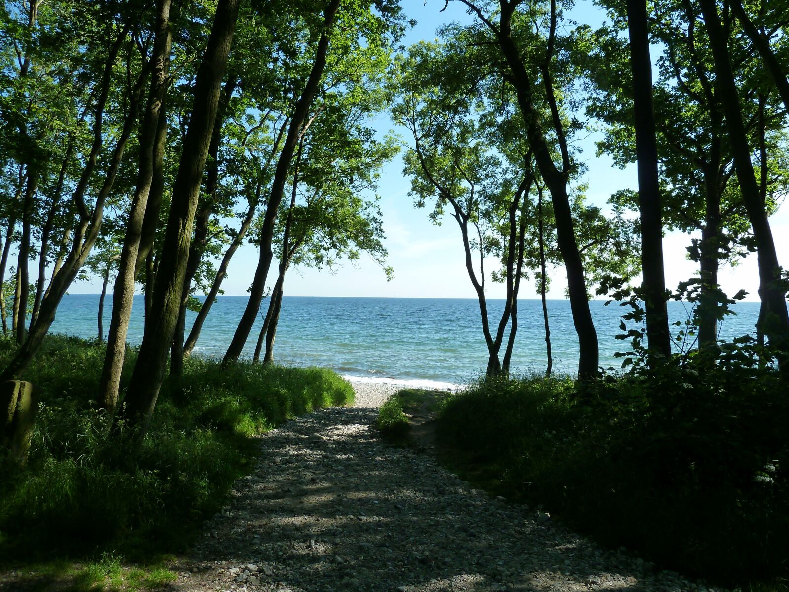 Panasonic Lumix DMC-ZS7 (Lumix DMC-TZ10) sample photo. Baltic sea, beach, vacations photography