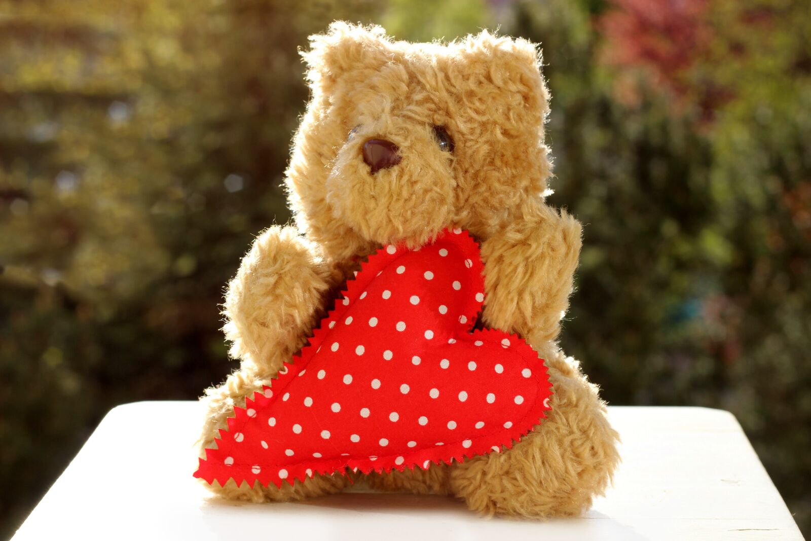Canon EOS 600D (Rebel EOS T3i / EOS Kiss X5) sample photo. Teddy, heart, love photography