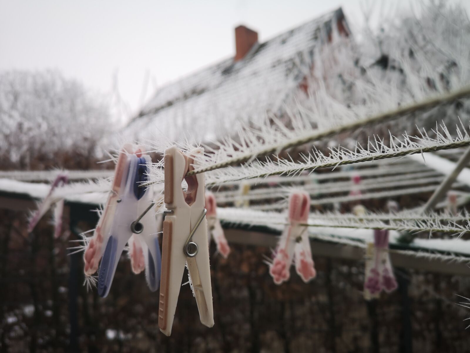 HUAWEI CLT-L09 sample photo. Clothes peg, frost, cold photography