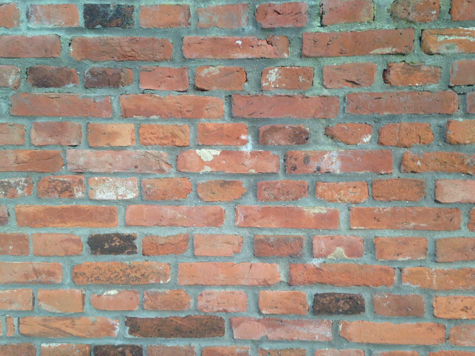iPhone 5c back camera 4.12mm f/2.4 sample photo. Wall, wall stone, wall photography