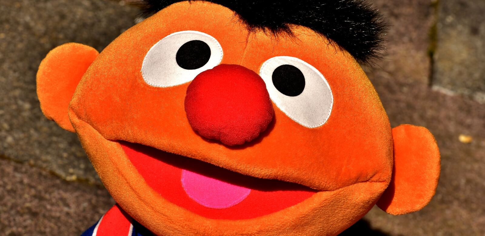 Nikon D7200 sample photo. Ernie, plush, funny photography