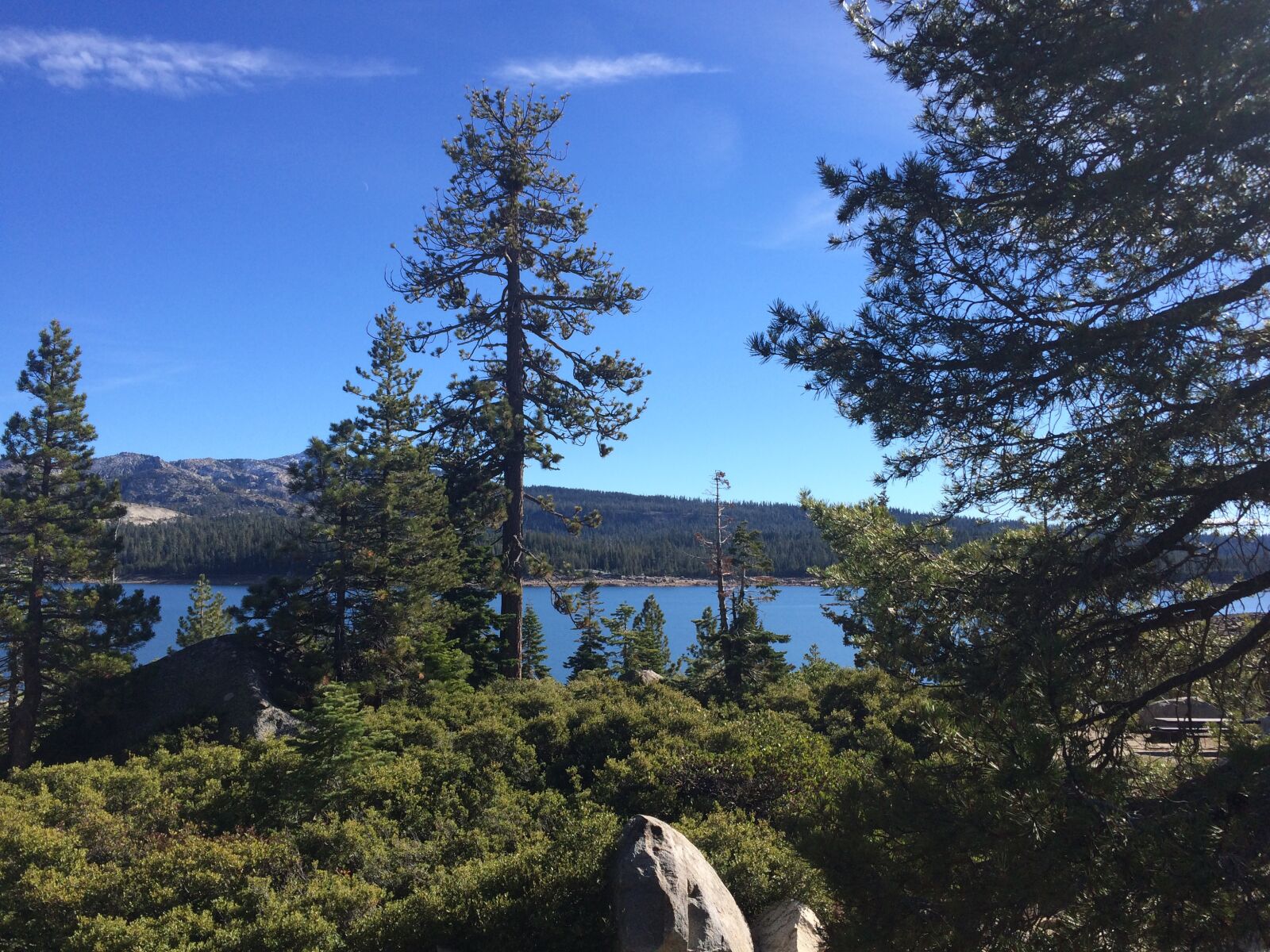 iPhone 5s back camera 4.15mm f/2.2 sample photo. Trees, lake, nature photography