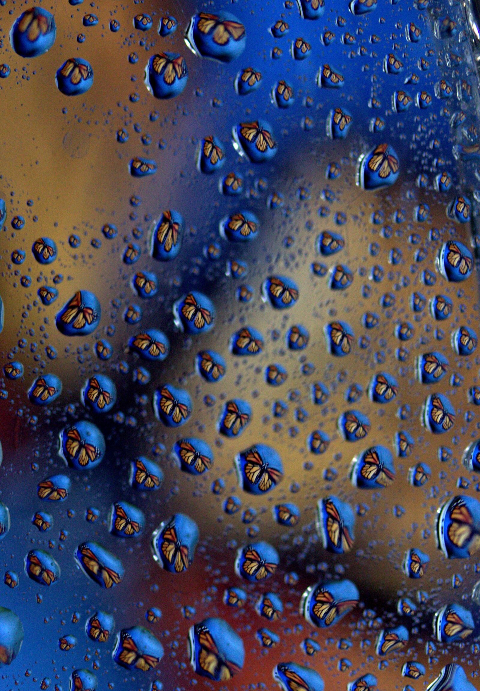 Canon EF-S 60mm F2.8 Macro USM sample photo. Drops, reflection, water photography