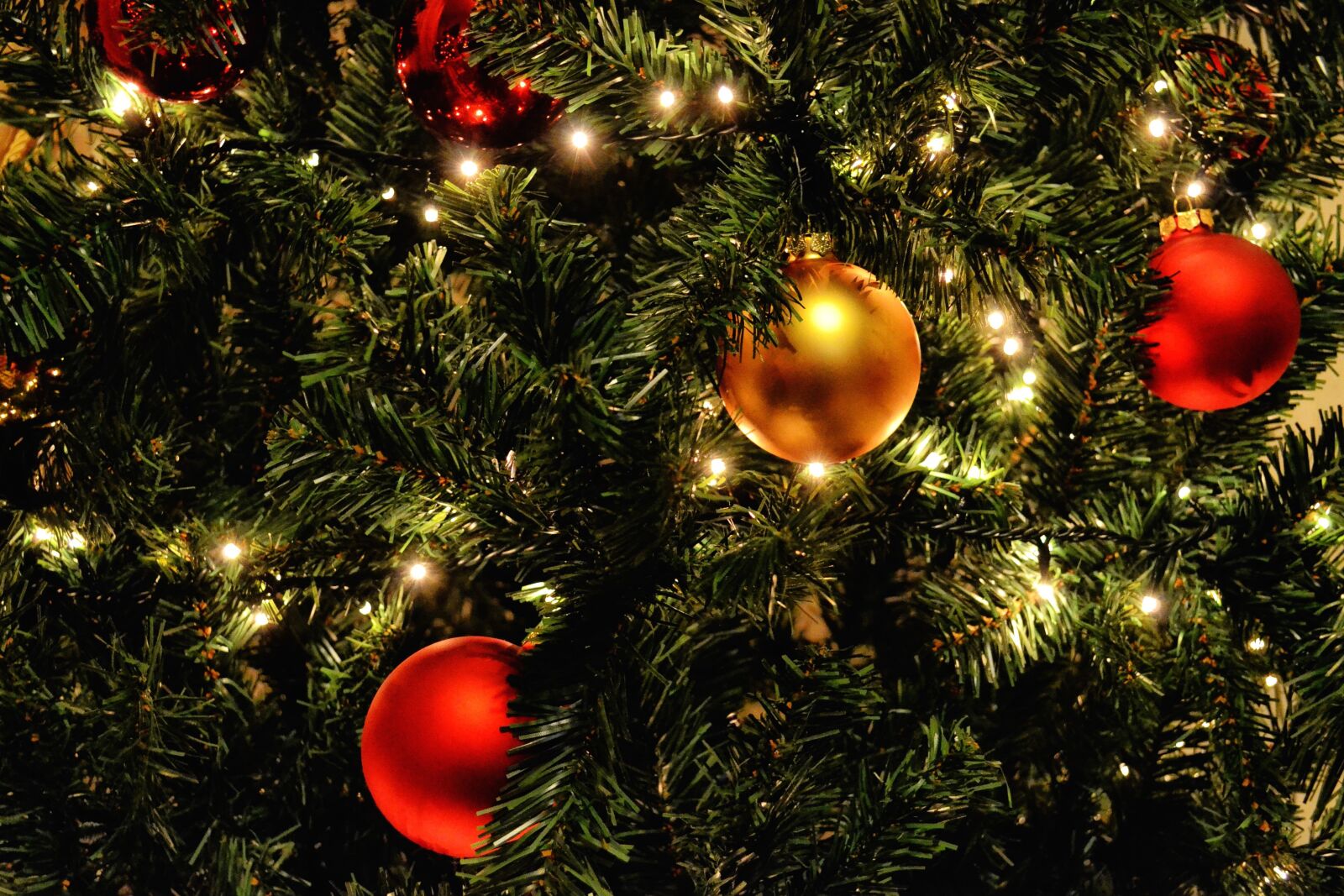 Nikon D3100 sample photo. Decoration, sphere, spruce tree photography