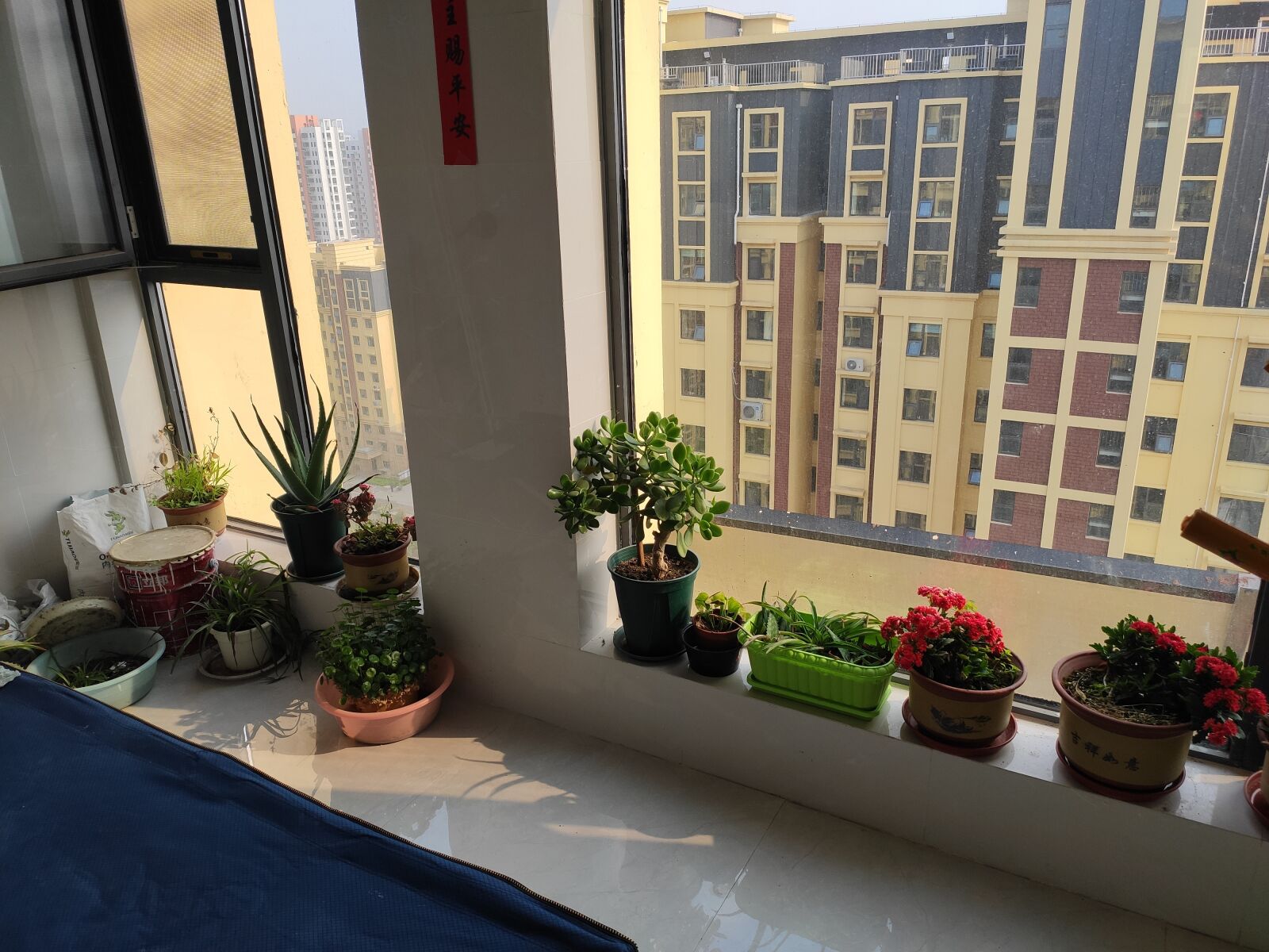 Xiaomi Mi 9 SE sample photo. Balcony, flower, pots photography