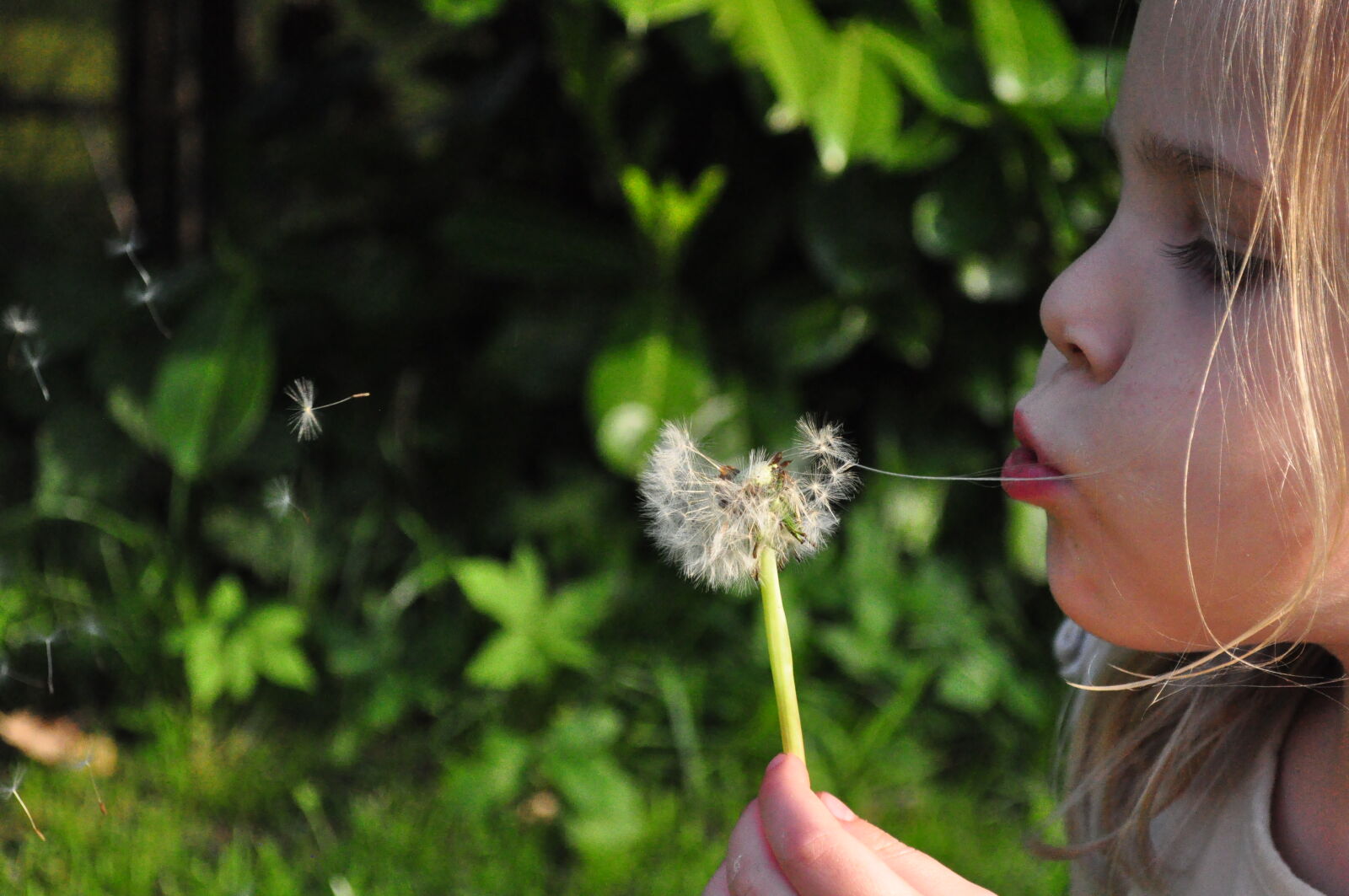 Nikon D5000 sample photo. Person, girl, cute, young photography