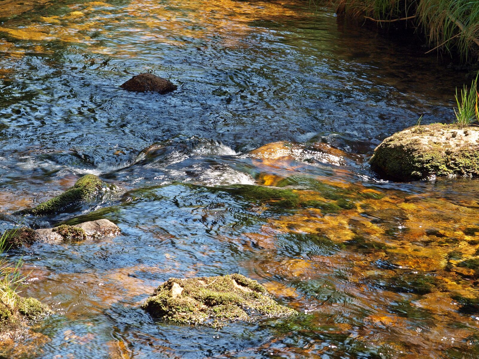 Olympus E-450 (EVOLT E-450) sample photo. Source water, mountain water photography