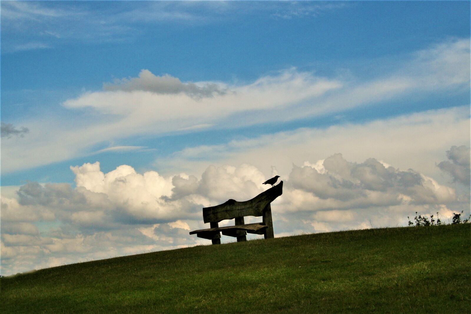 Canon EOS 350D (EOS Digital Rebel XT / EOS Kiss Digital N) sample photo. Park, landscape, seat photography