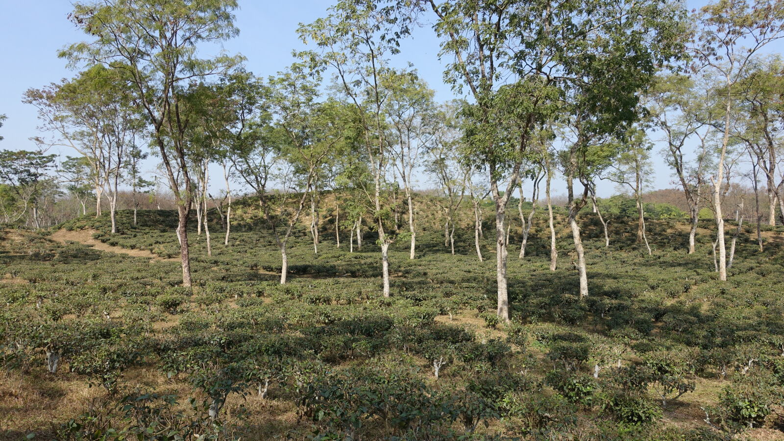 Sony Cyber-shot DSC-RX100 III sample photo. Blue, mountains, natue, natural photography